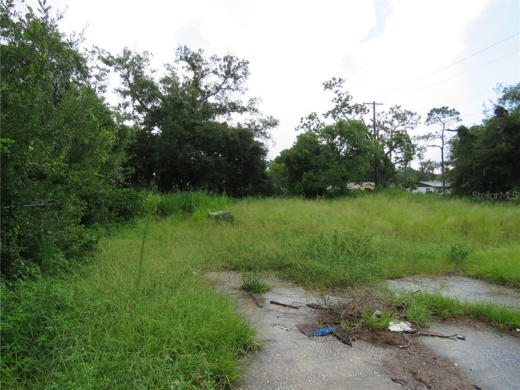 304 Waller Street Plant City FL 33563 T3465629 image1
