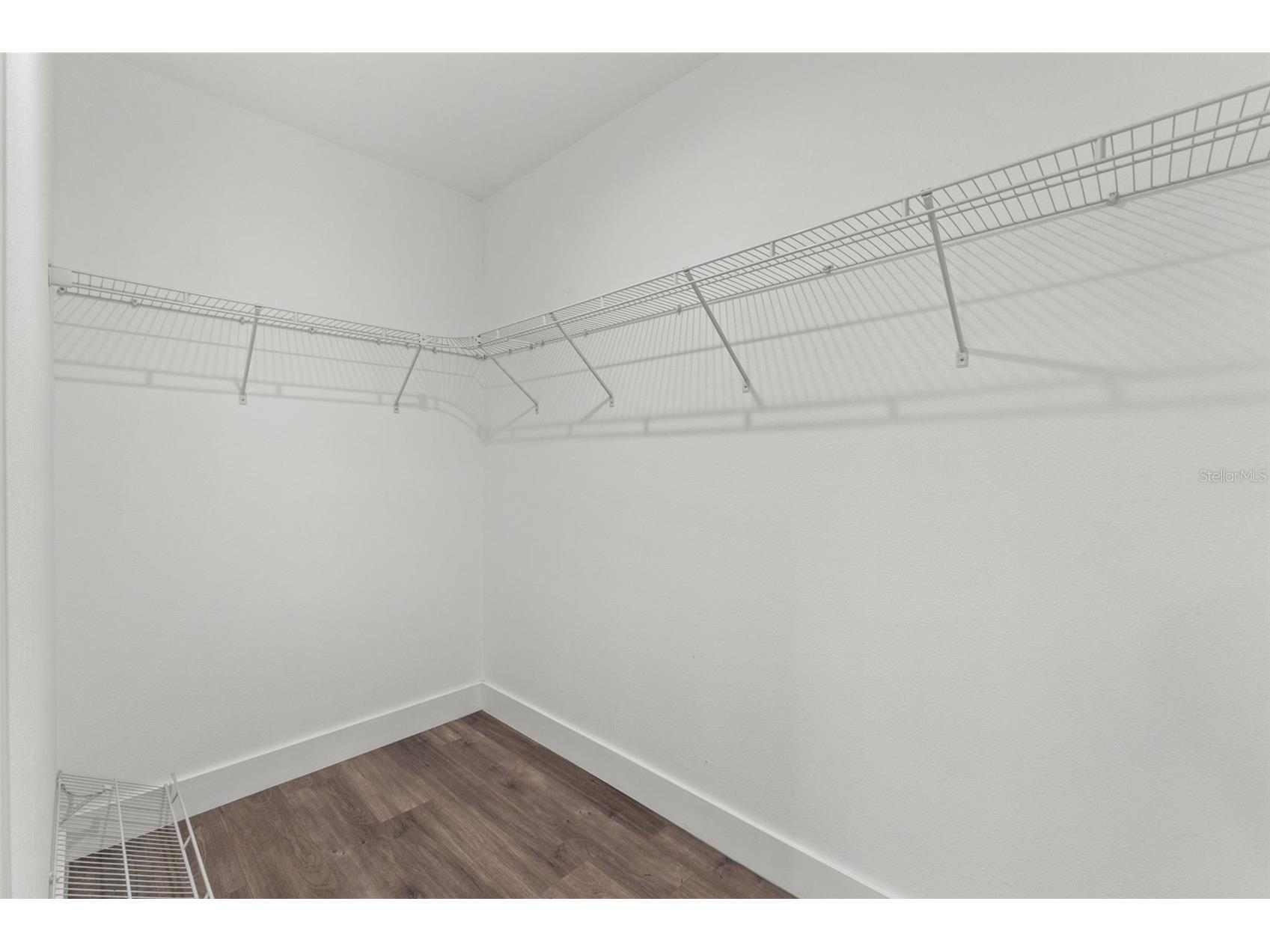 3040 Belcher Road Dunedin FL 34698 W7886579 image26