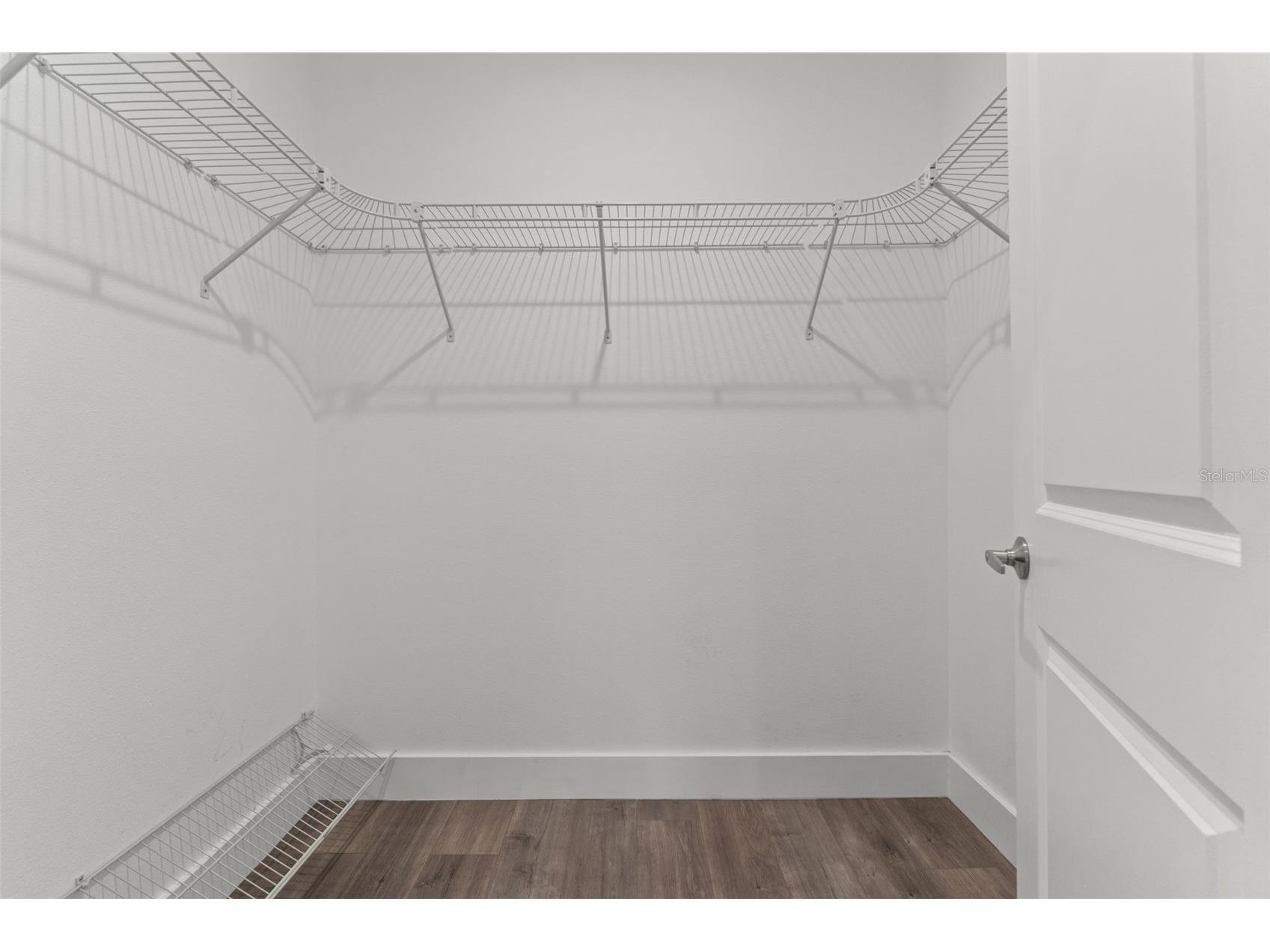 3040 Belcher Road Dunedin FL 34698 W7886579 image27