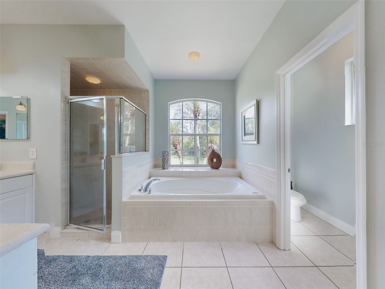 3040 Butler Ridge Road Deltona FL 32738 V4949793 image19