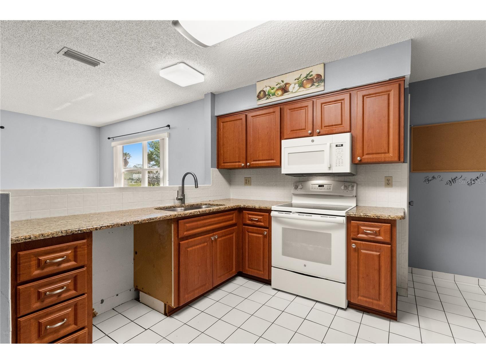 3040 Dumas Avenue Spring Hill FL 34609 TB8493646 image8