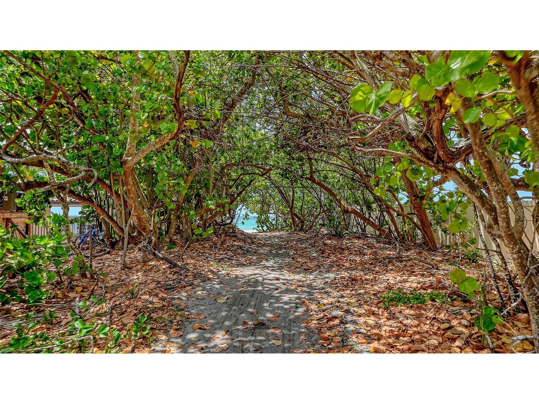 3040 Gulf Of Mexico Drive #3 Longboat Key FL 34228 A4692587 image7