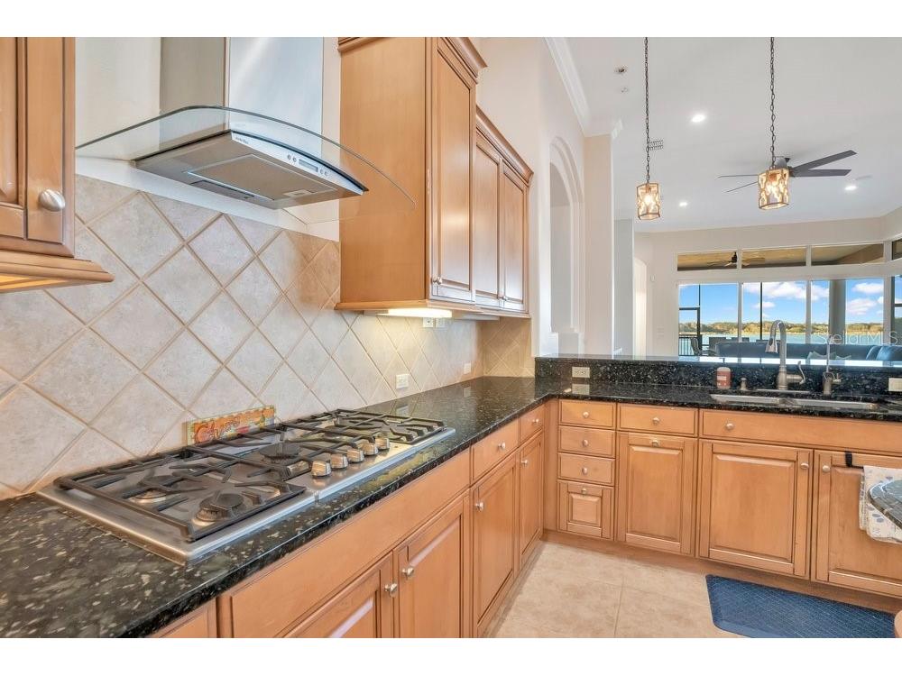 3040 Highlands By The Lake Way Lakeland FL 33812 L4959374 image15