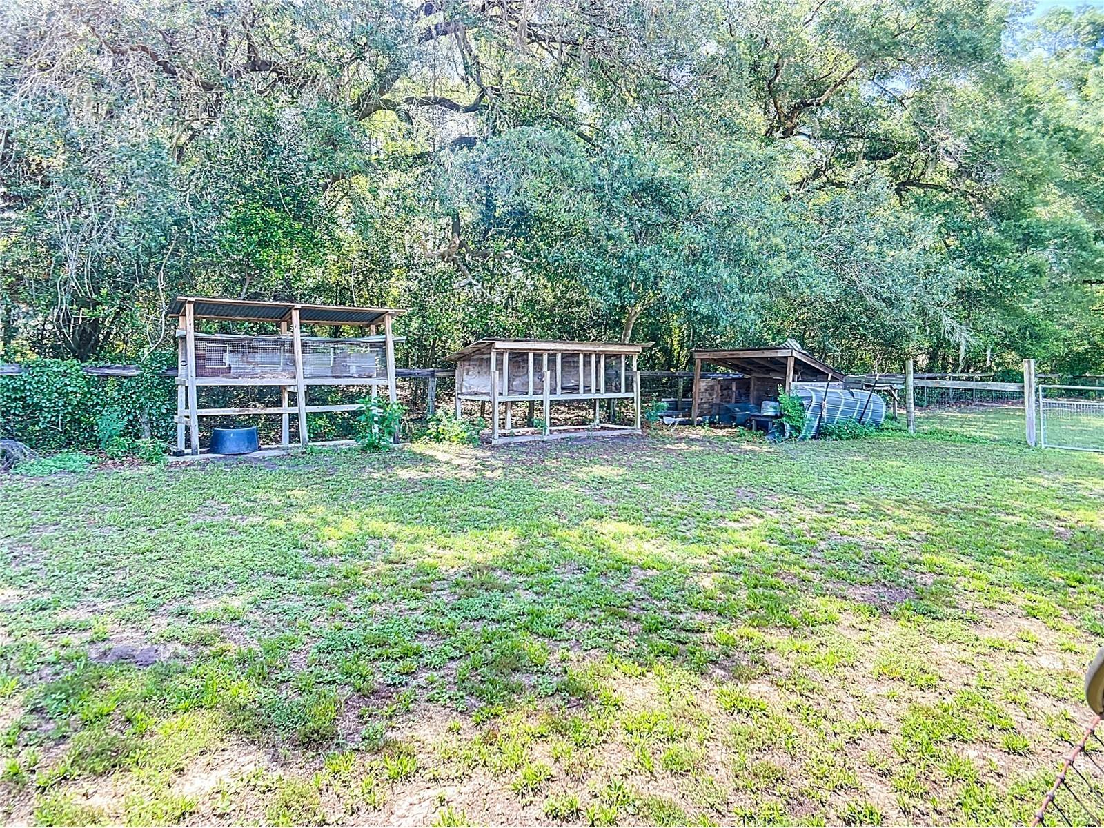 3040 NE 97th Street Road Anthony FL 32617 OM703266 image61