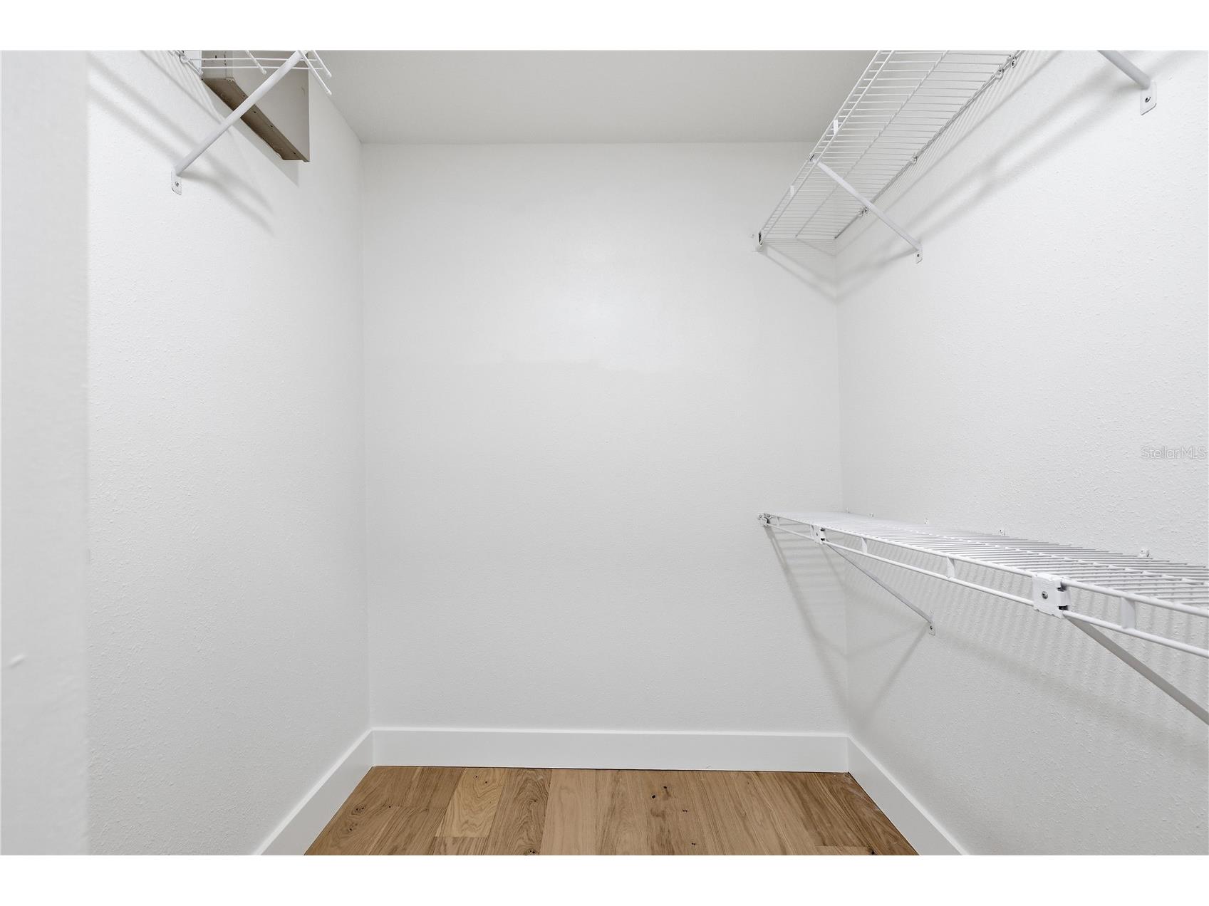 3040 Windridge Oaks Drive Palm Harbor FL 34684 TB8528725 image22