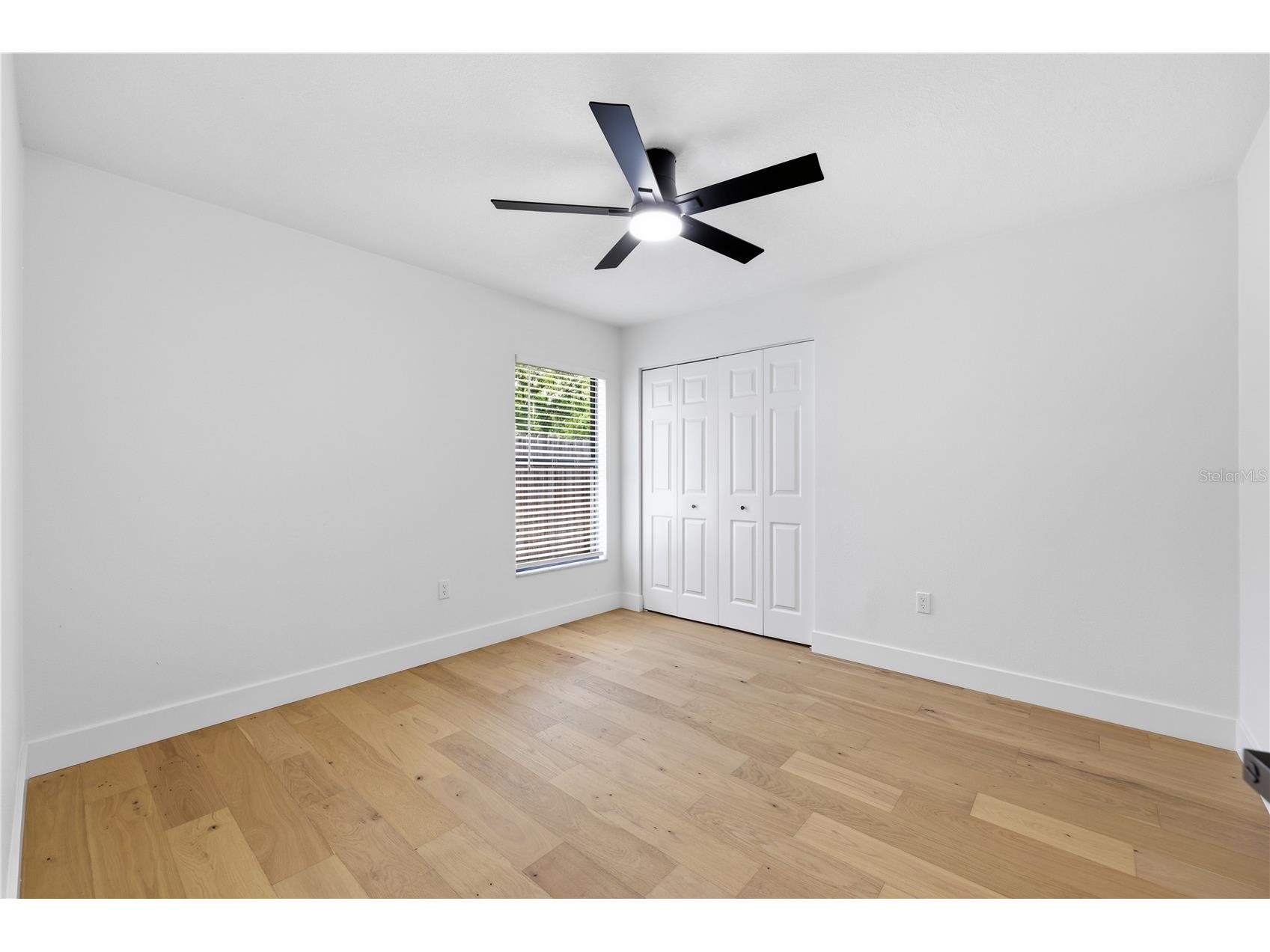3040 Windridge Oaks Drive Palm Harbor FL 34684 TB8528725 image25