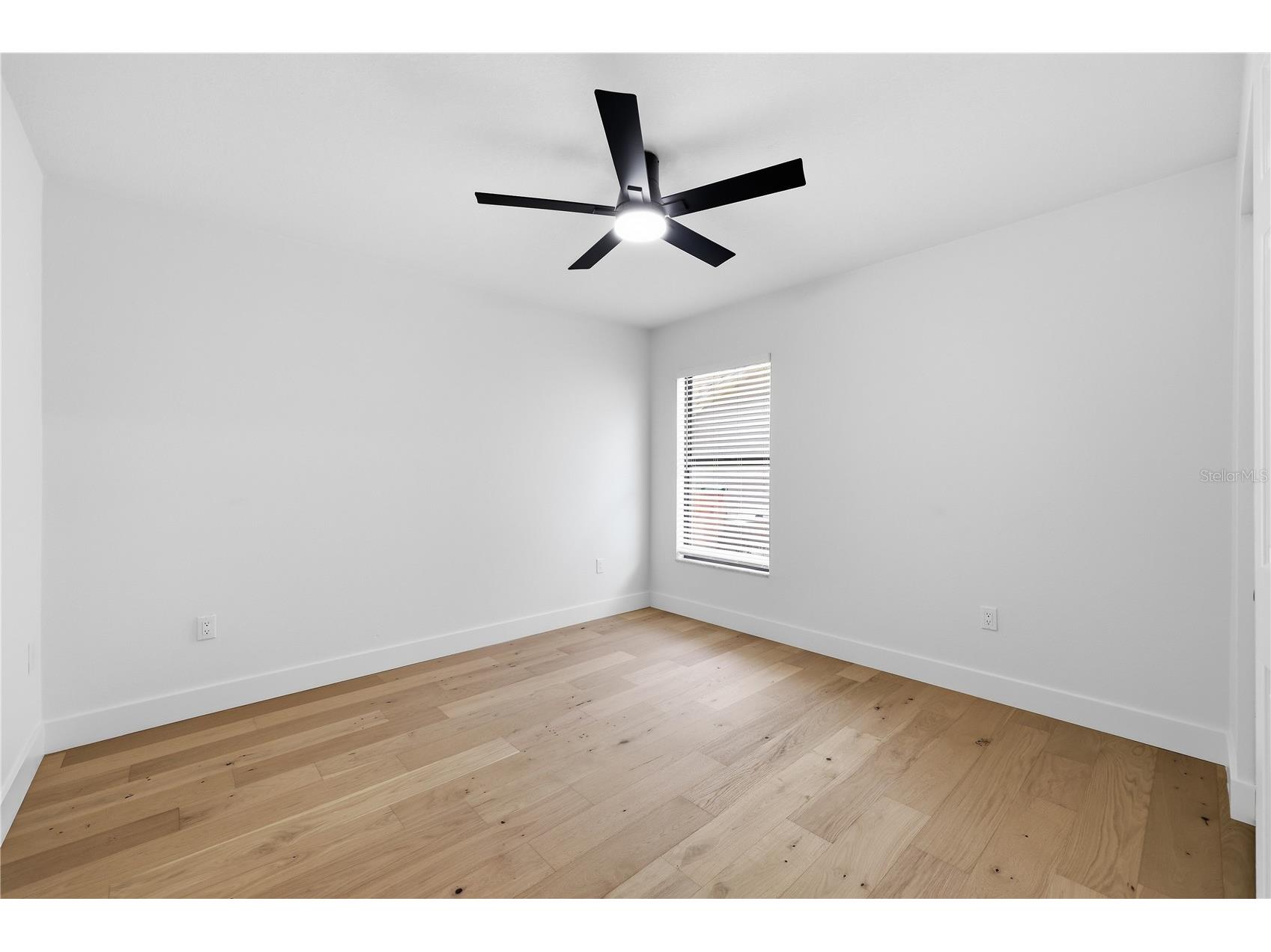 3040 Windridge Oaks Drive Palm Harbor FL 34684 TB8528725 image26
