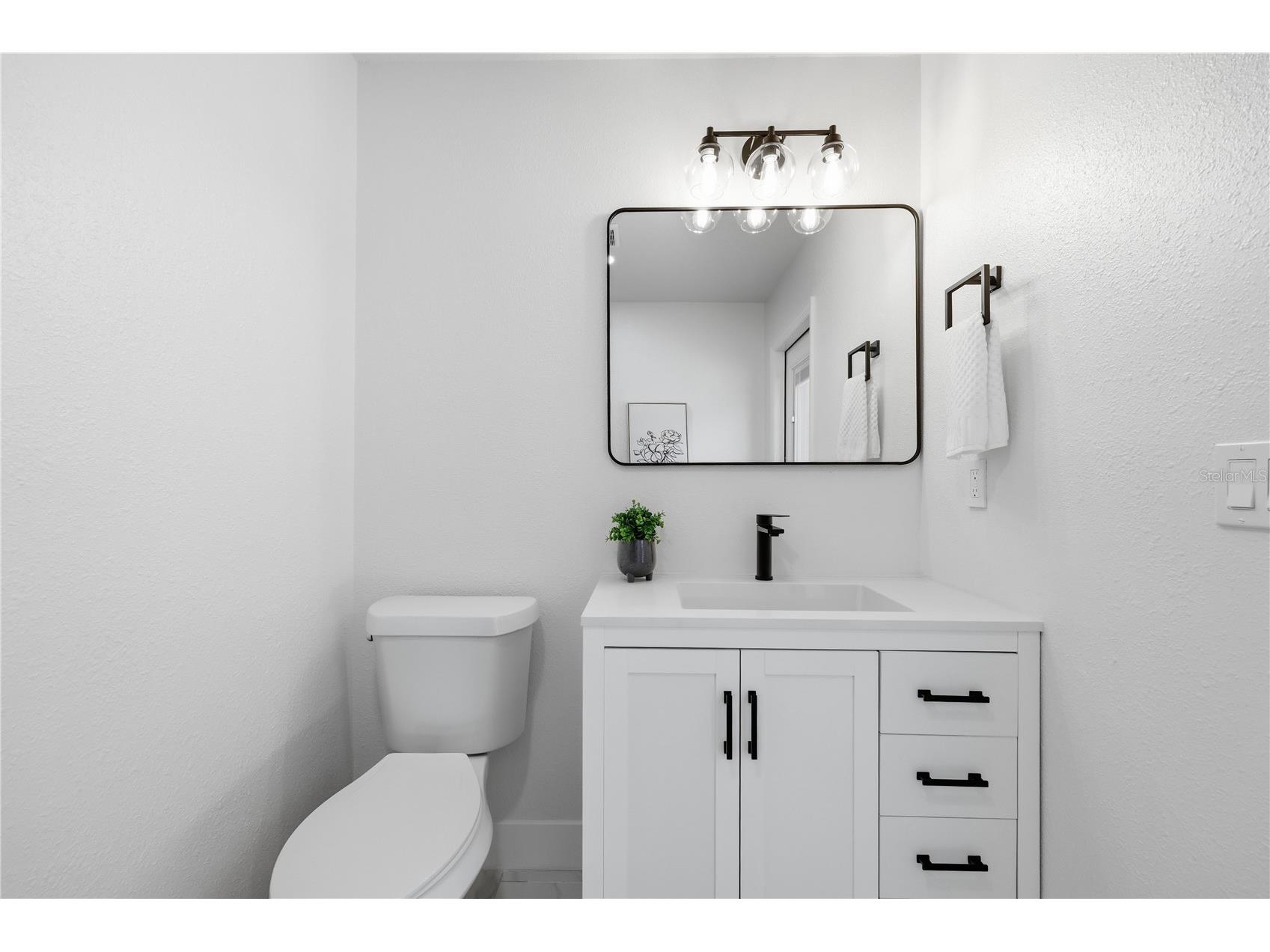 3040 Windridge Oaks Drive Palm Harbor FL 34684 TB8528725 image31