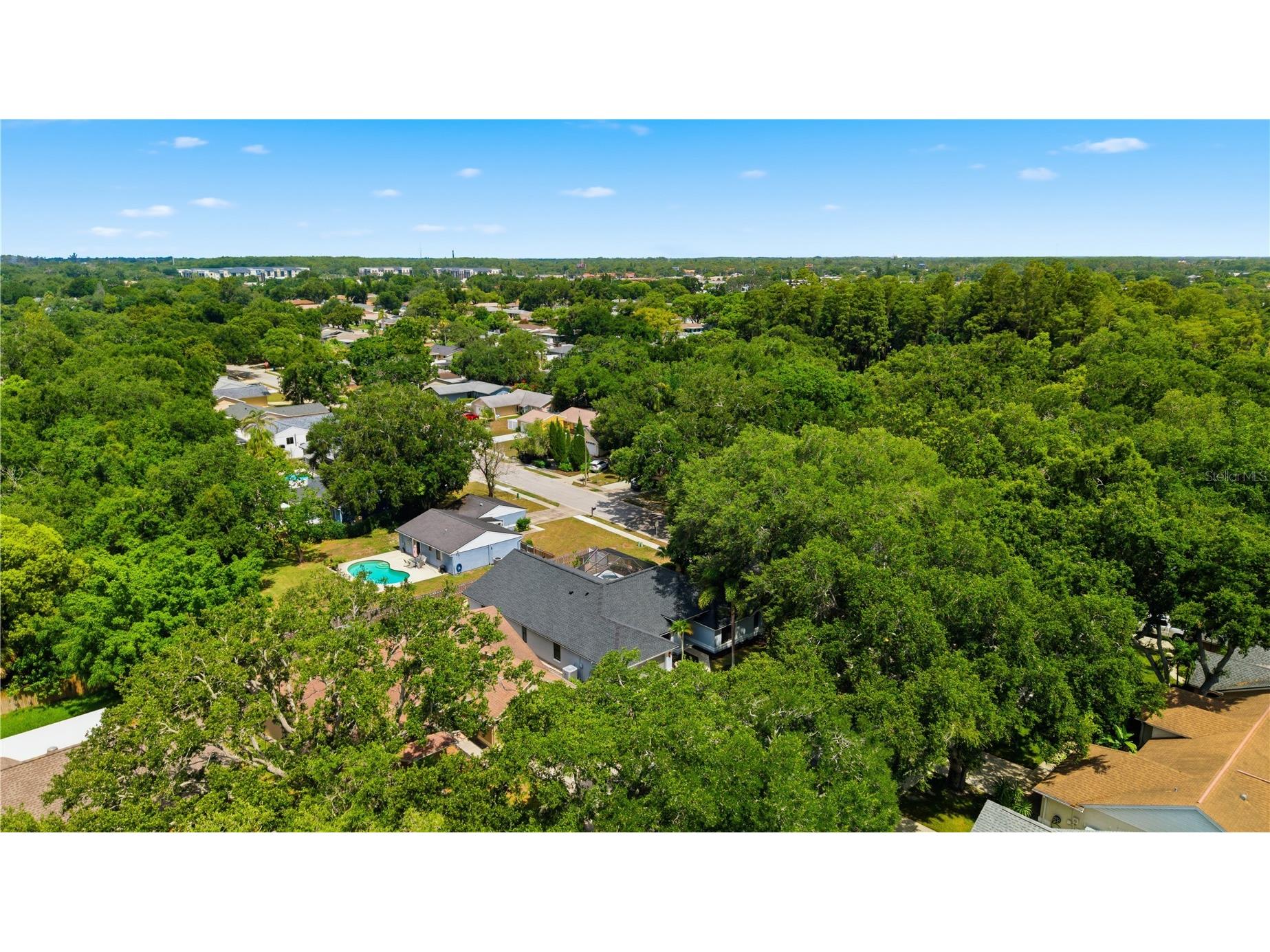 3040 Windridge Oaks Drive Palm Harbor FL 34684 TB8528725 image38