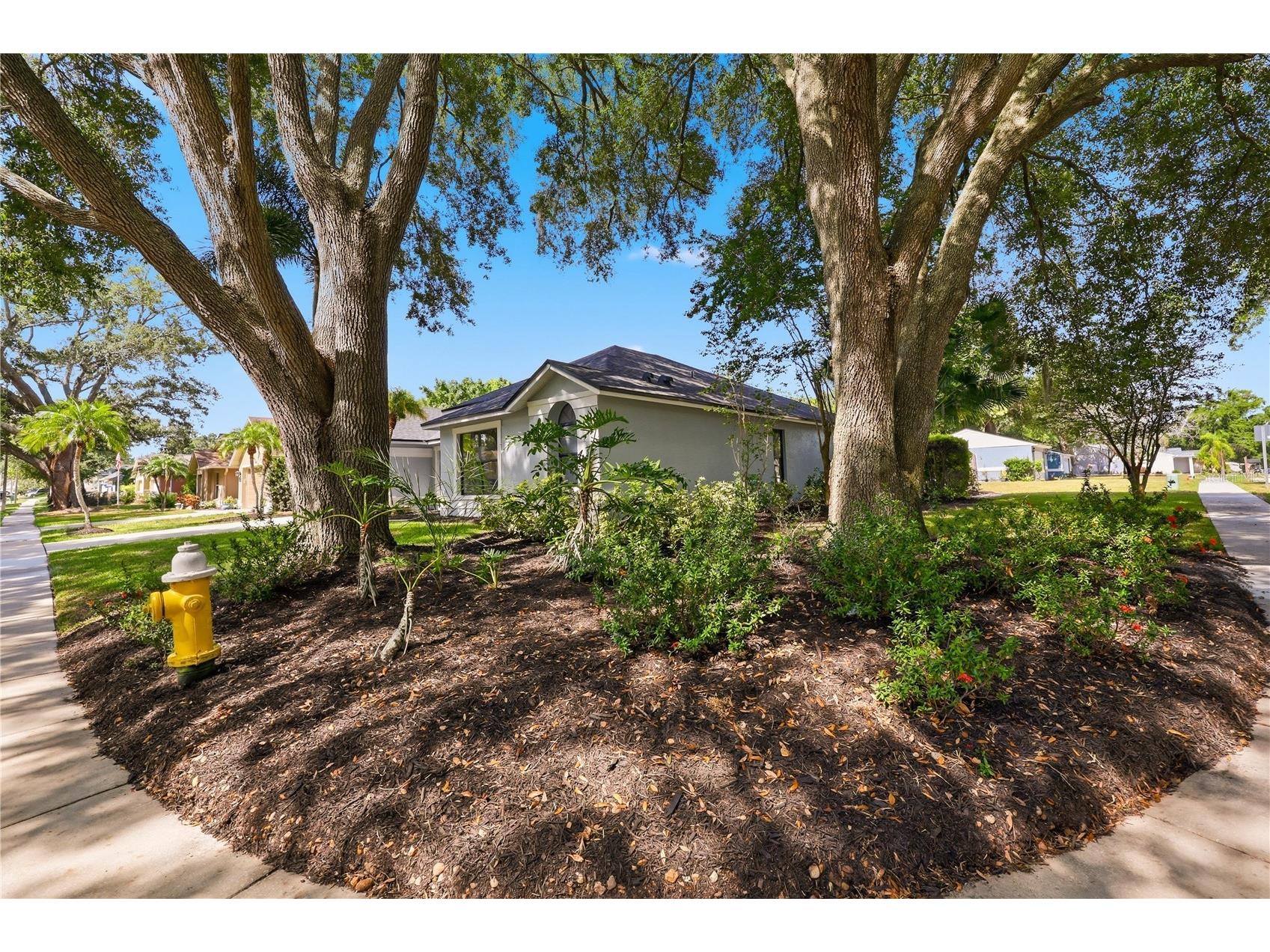 3040 Windridge Oaks Drive Palm Harbor FL 34684 TB8528725 image4