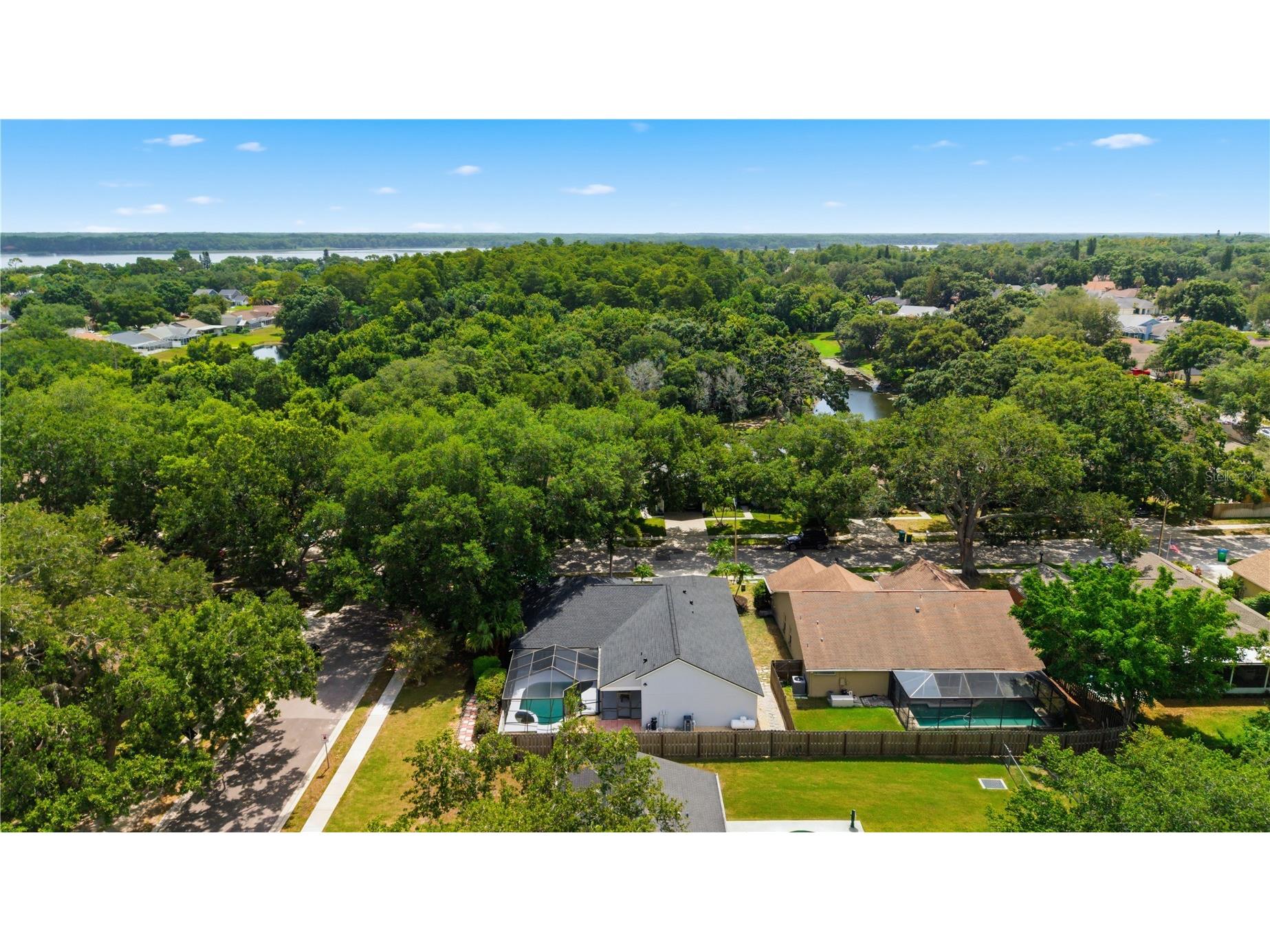3040 Windridge Oaks Drive Palm Harbor FL 34684 TB8528725 image40