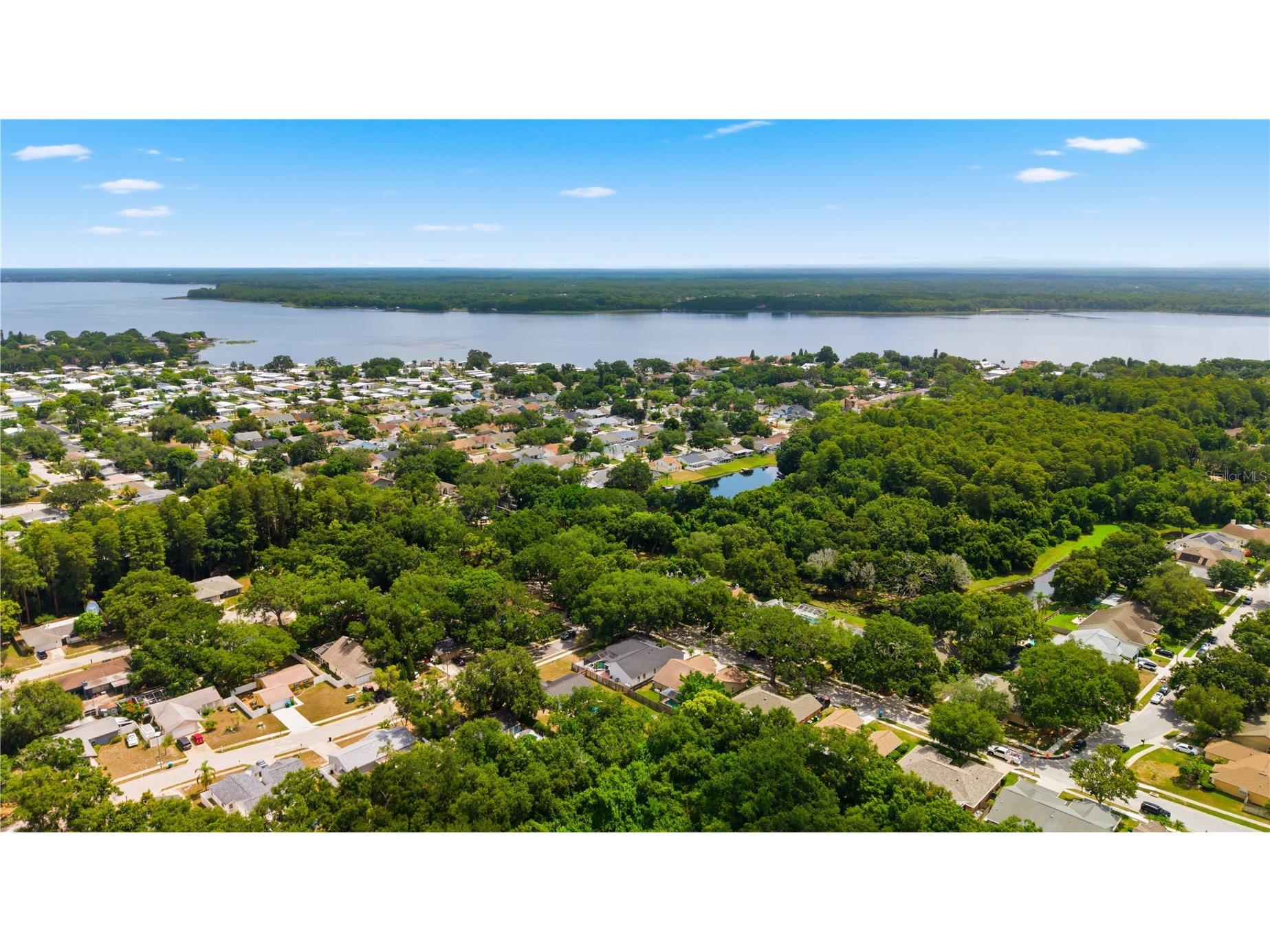 3040 Windridge Oaks Drive Palm Harbor FL 34684 TB8528725 image41