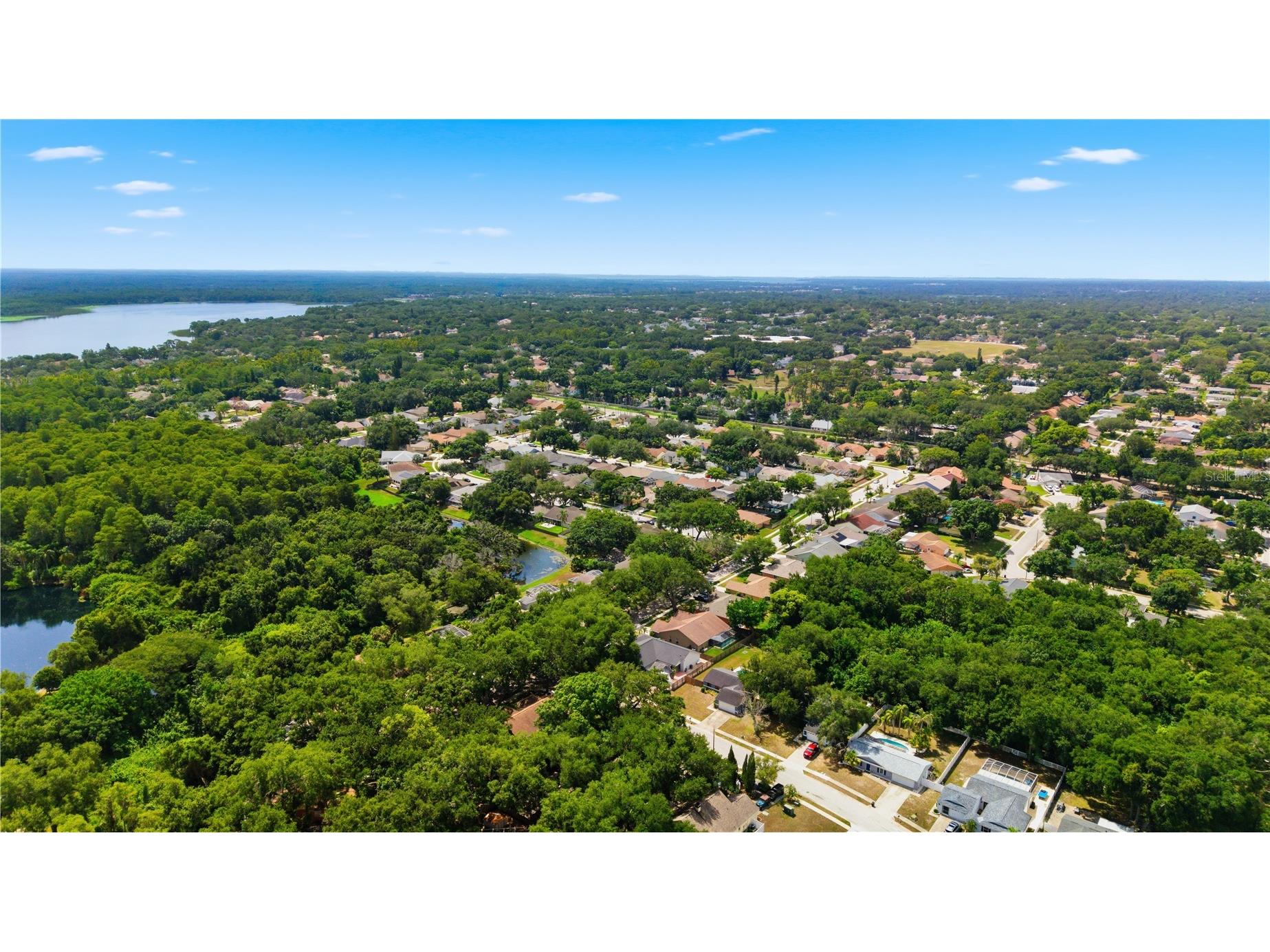 3040 Windridge Oaks Drive Palm Harbor FL 34684 TB8528725 image42