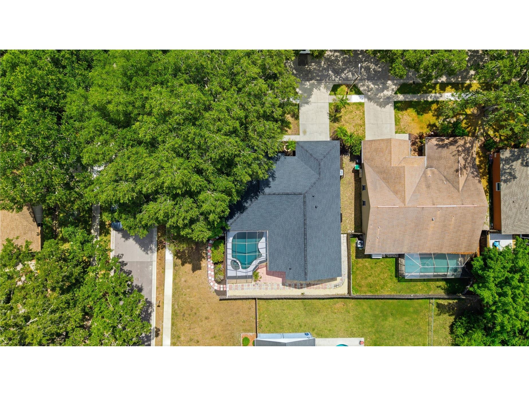 3040 Windridge Oaks Drive Palm Harbor FL 34684 TB8528725 image43