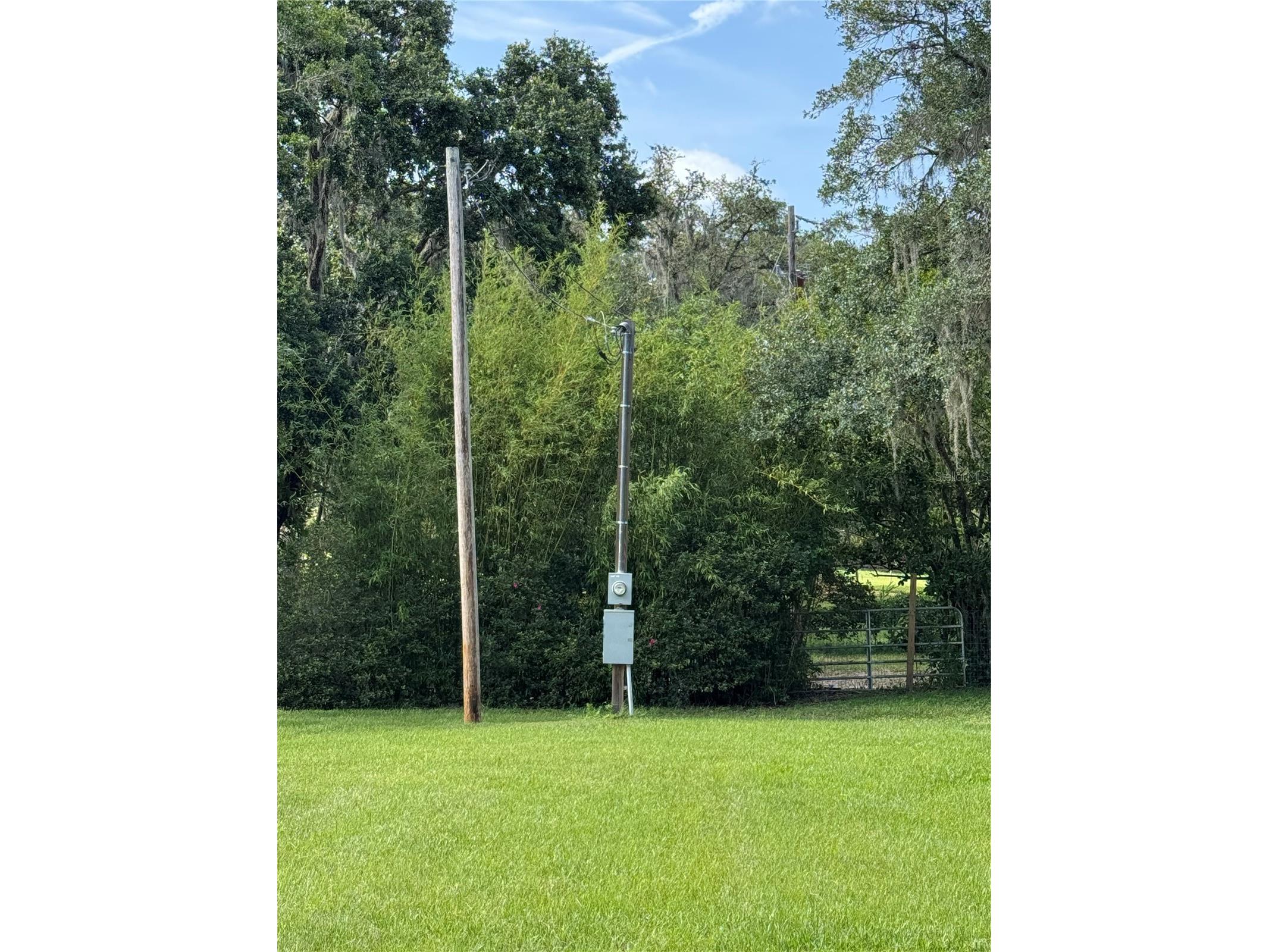 30400 Hillside Lane Wesley Chapel FL 33545 TB8481504 image10