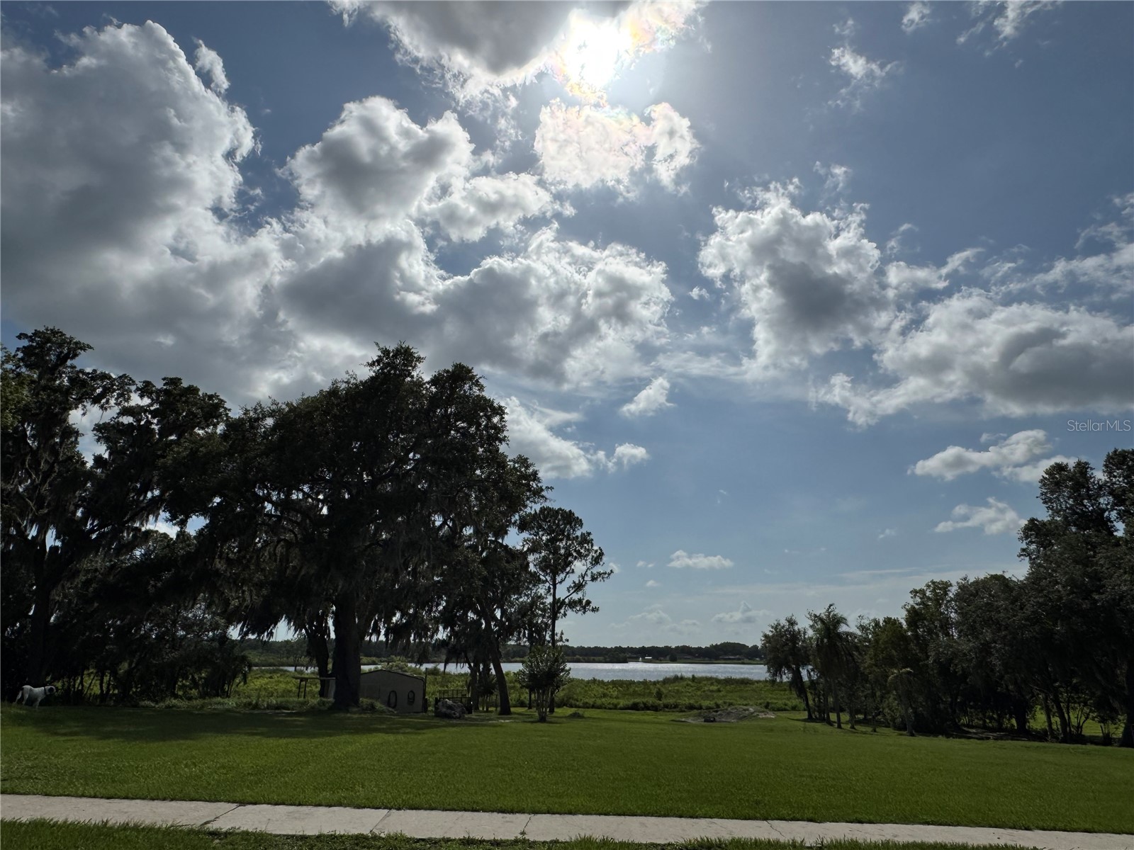 30400 Hillside Lane Wesley Chapel FL 33545 TB8481504 image2