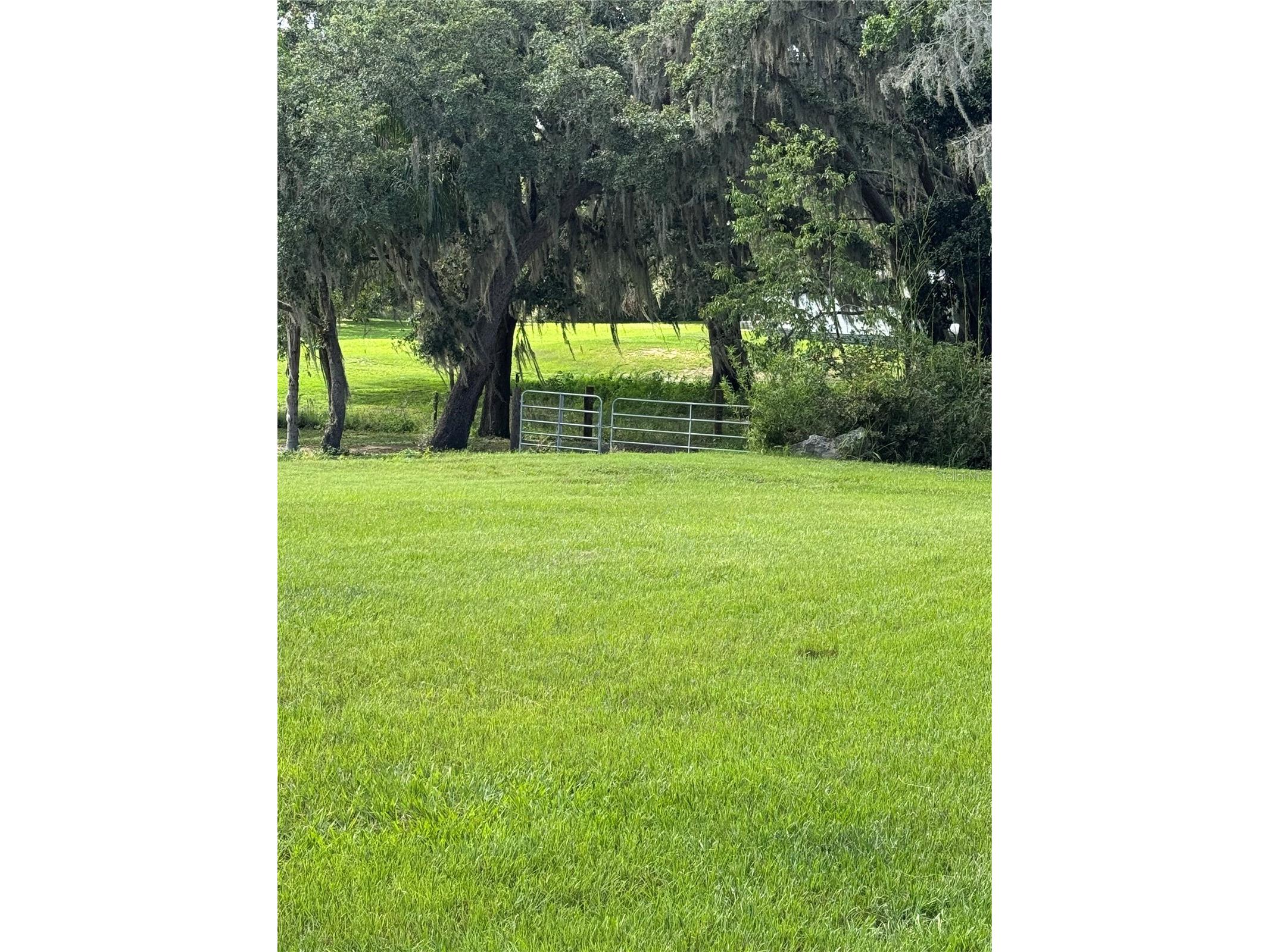 30400 Hillside Lane Wesley Chapel FL 33545 TB8481504 image3