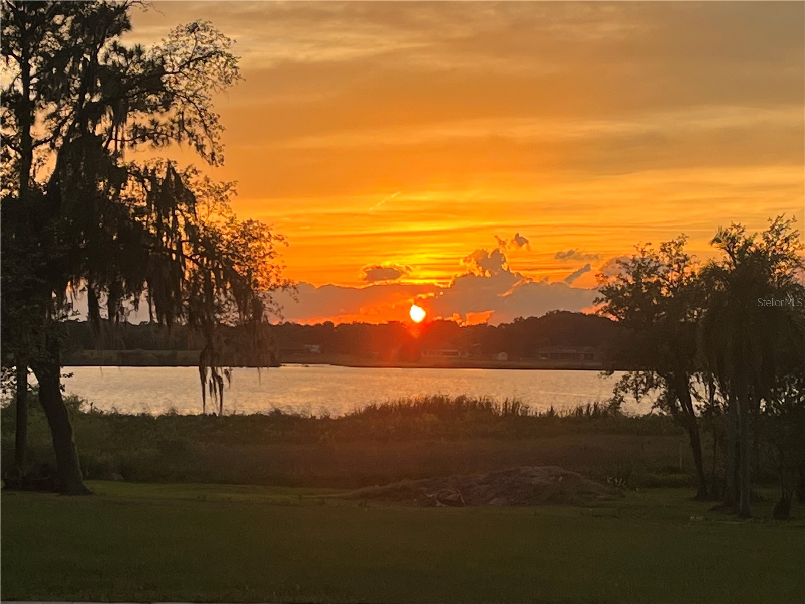 30400 Hillside Lane Wesley Chapel FL 33545 TB8481504 image7