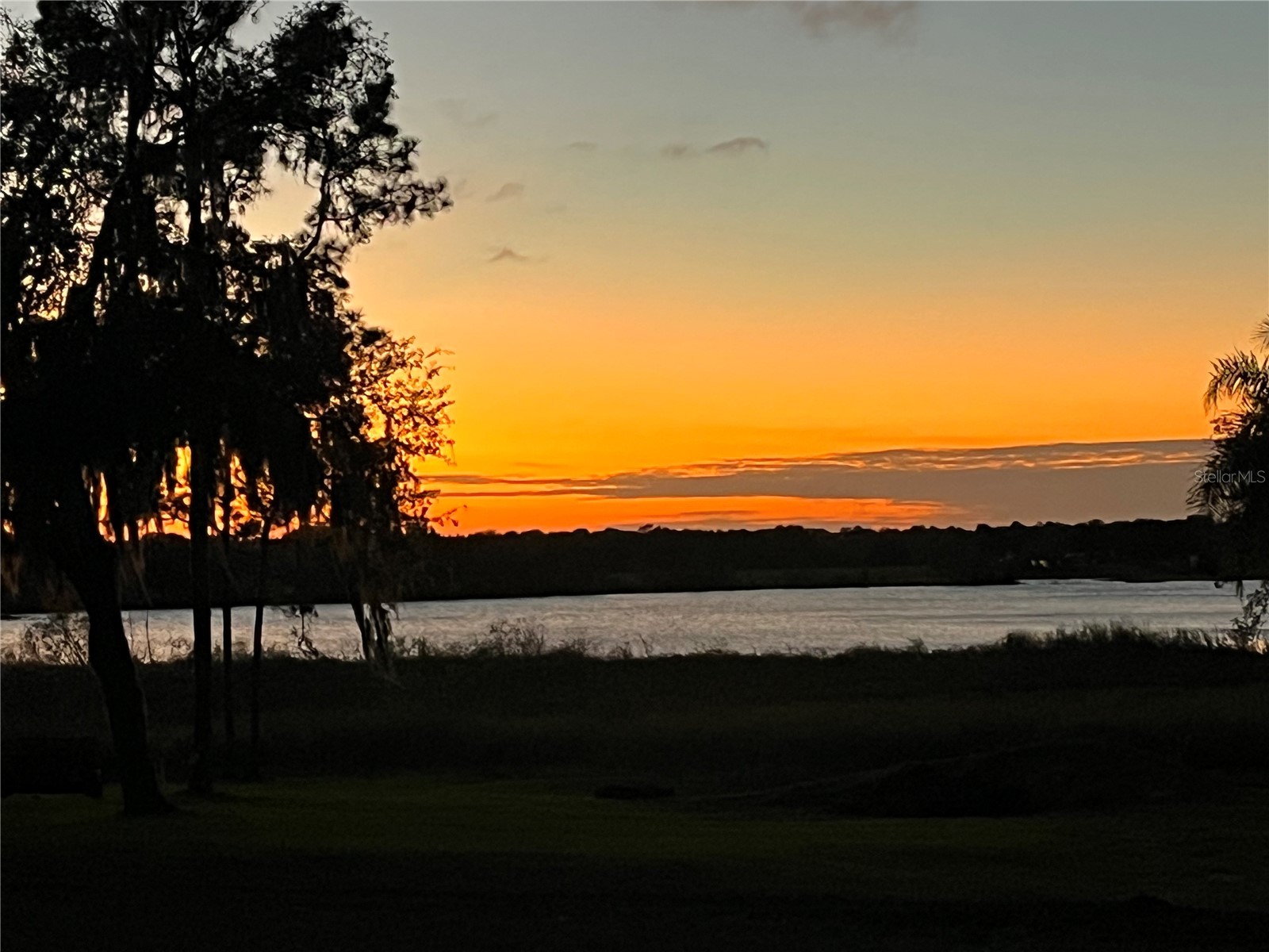 30400 Hillside Lane Wesley Chapel FL 33545 TB8481504 image8