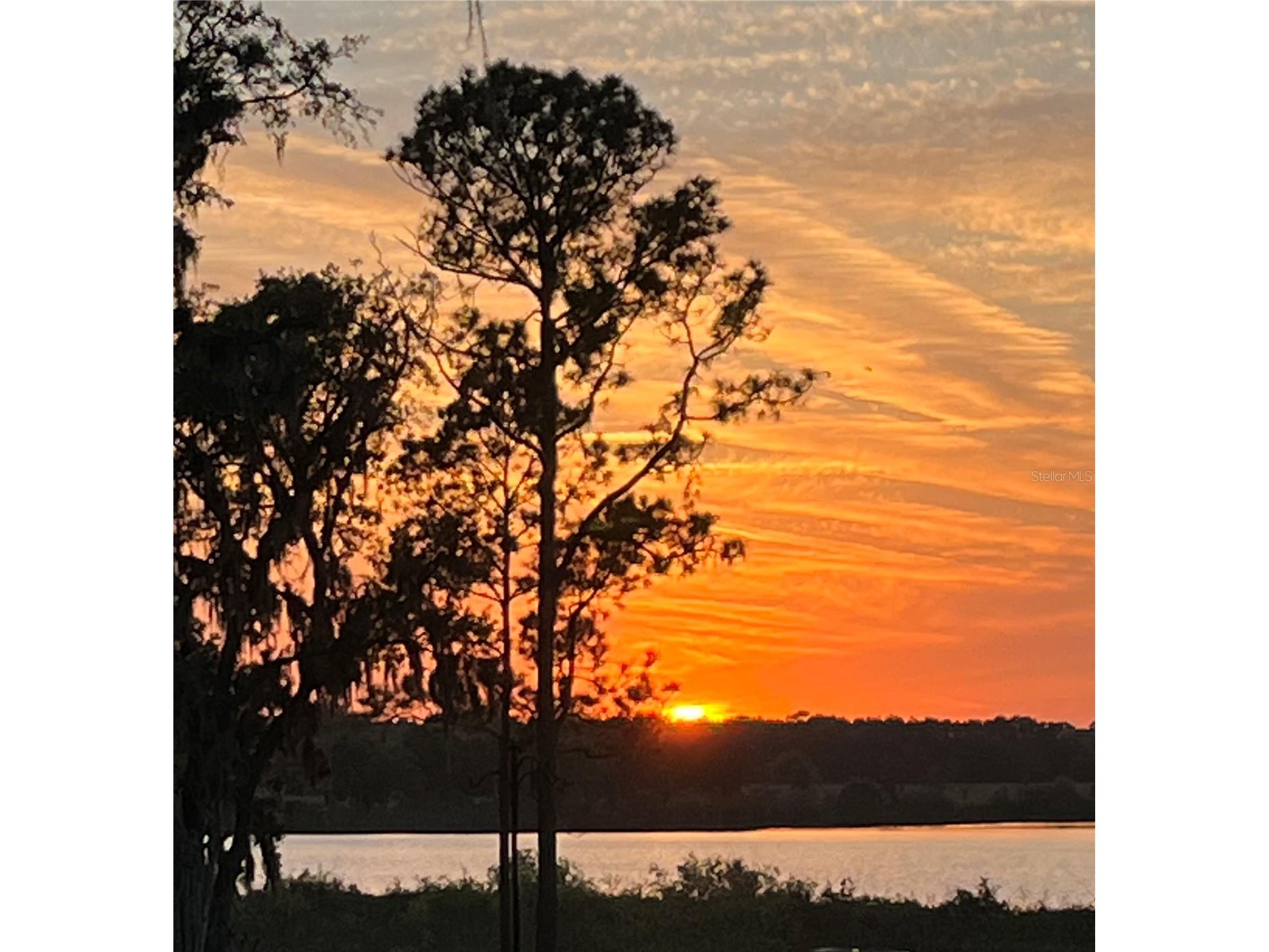 30400 Hillside Lane Wesley Chapel FL 33545 TB8481504 image9