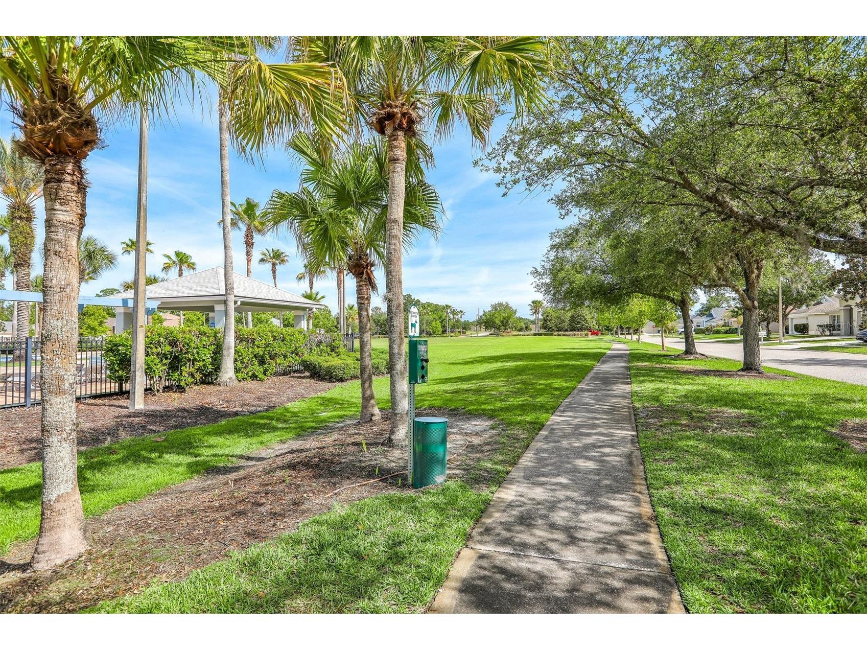 30400 Randall Manor Street Wesley Chapel FL 33545 TB8506119 image8