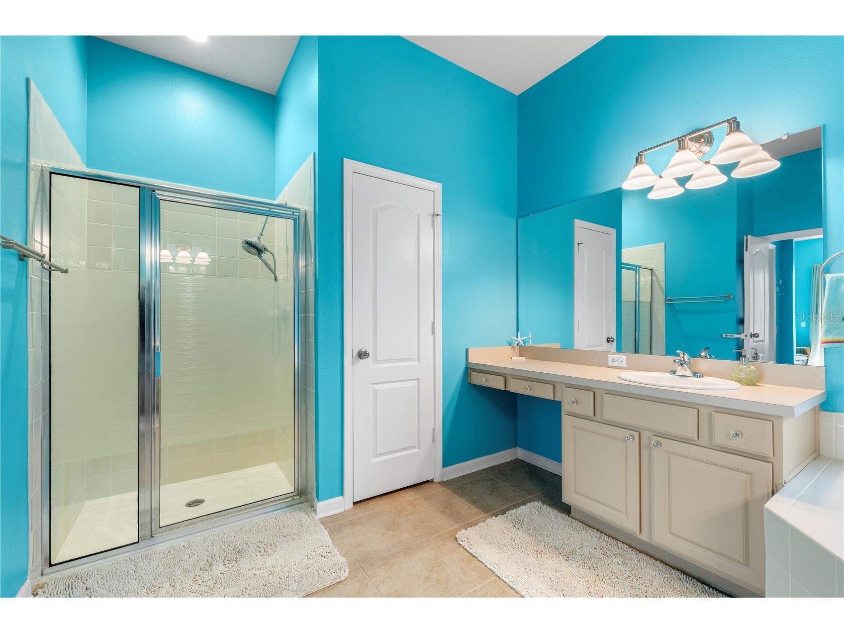 30404 Colthurst Street Wesley Chapel FL 33545 TB8472495 image22