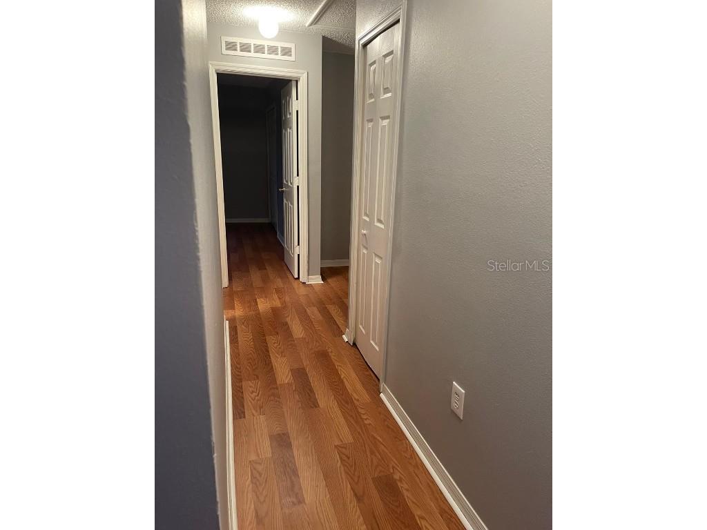 30404 Pongo Way Wesley Chapel FL 33545 S5138397 image10