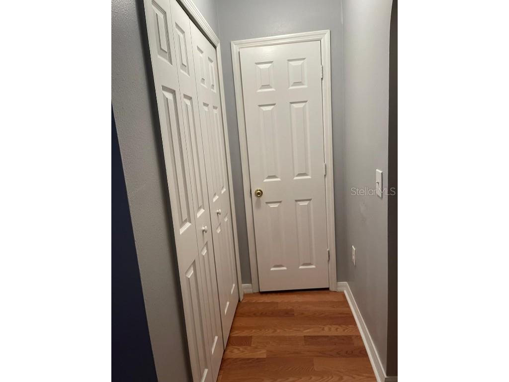 30404 Pongo Way Wesley Chapel FL 33545 S5138397 image3