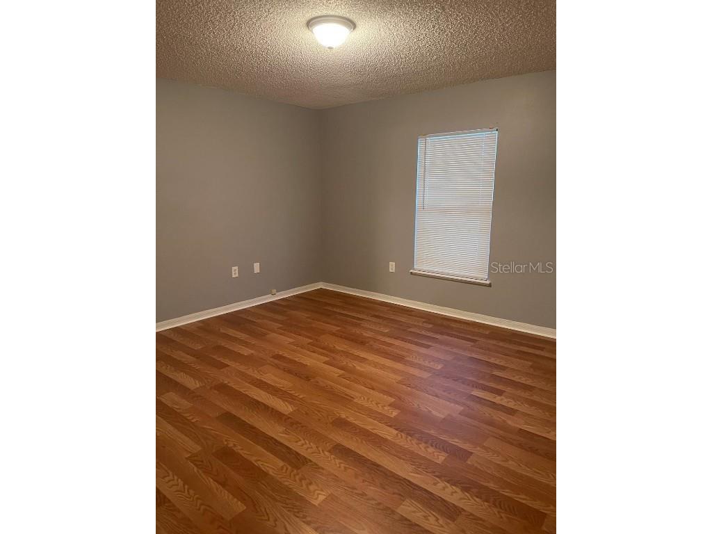 30404 Pongo Way Wesley Chapel FL 33545 S5138397 image6