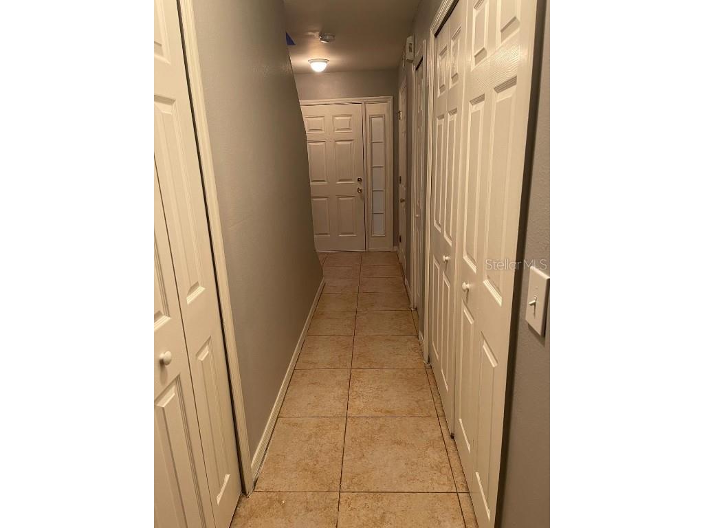 30404 Pongo Way Wesley Chapel FL 33545 S5138397 image7