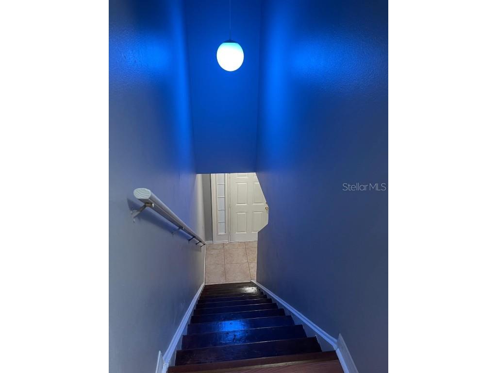 30404 Pongo Way Wesley Chapel FL 33545 S5138397 image9