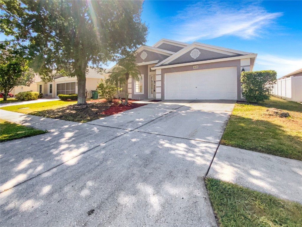 30406 Arrochar Street Wesley Chapel FL 33545 O6300106 image1