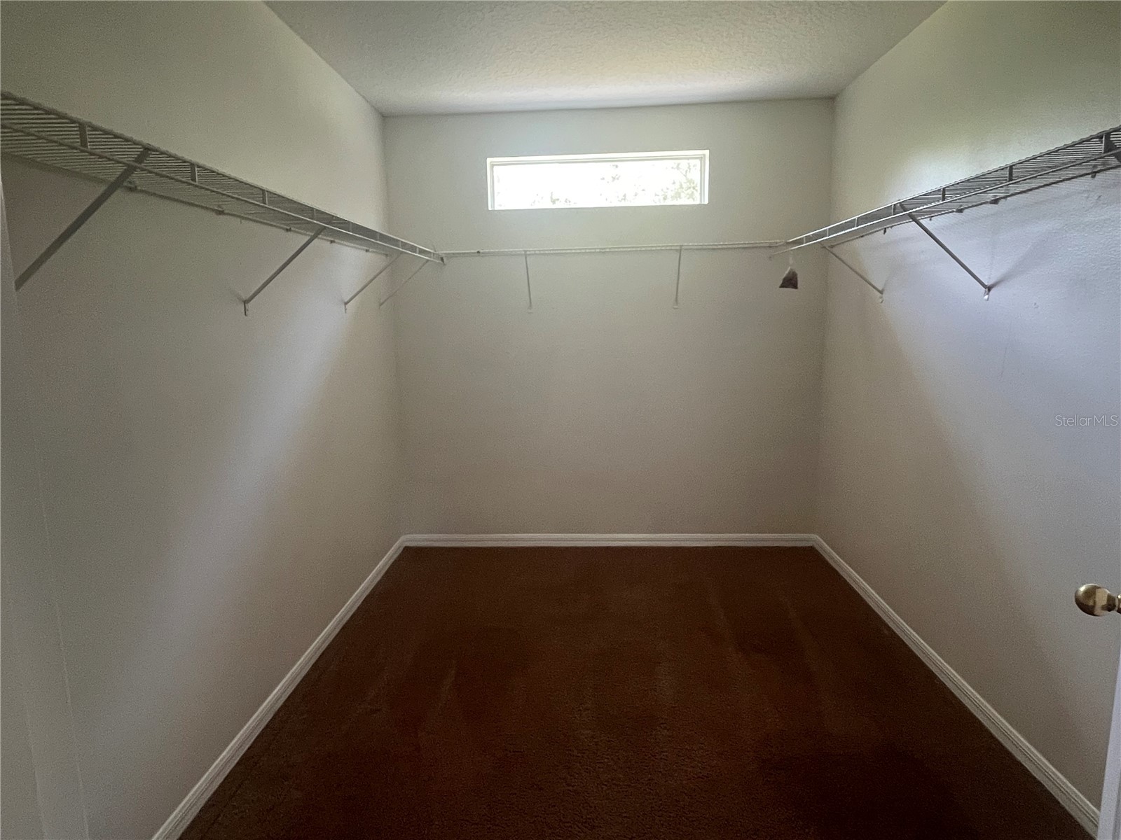 30406 Pga Drive Mount Plymouth FL 32776 S5153623 image11