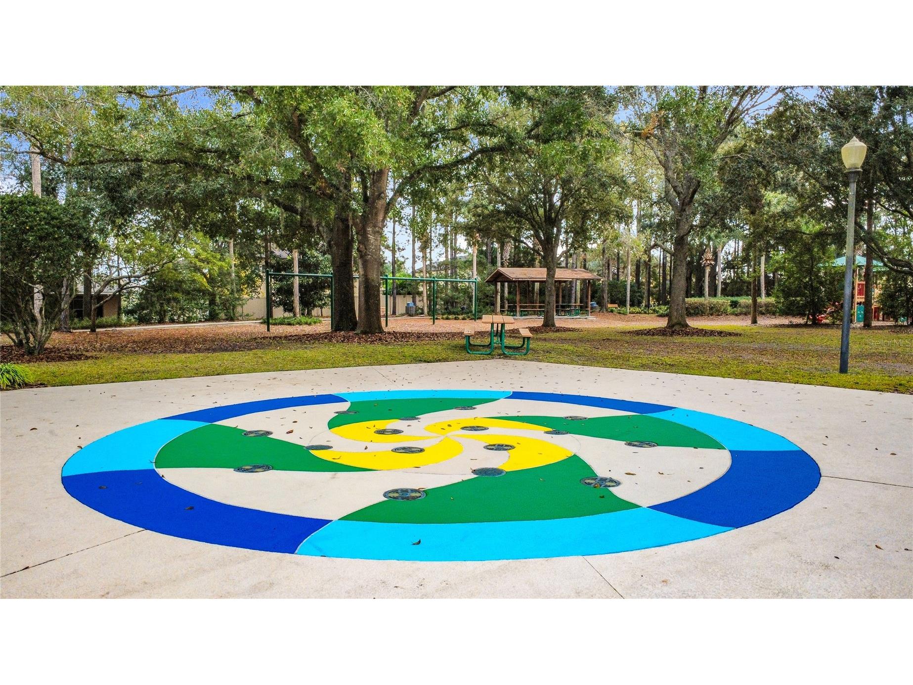 30409 Tokara Terrace Mount Dora FL 32757 G5105450 image41