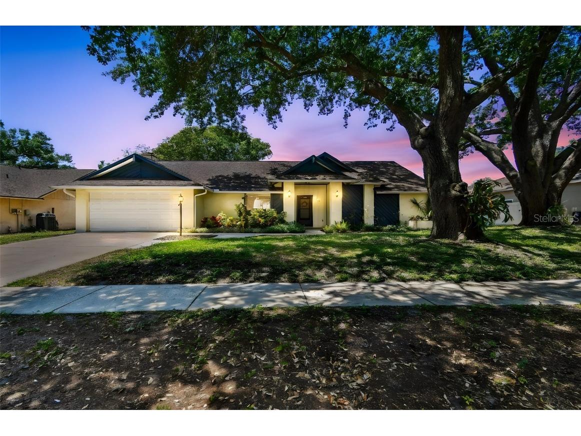 3041 Avalon Terrace Drive Valrico FL 33596 TB8376736 image1