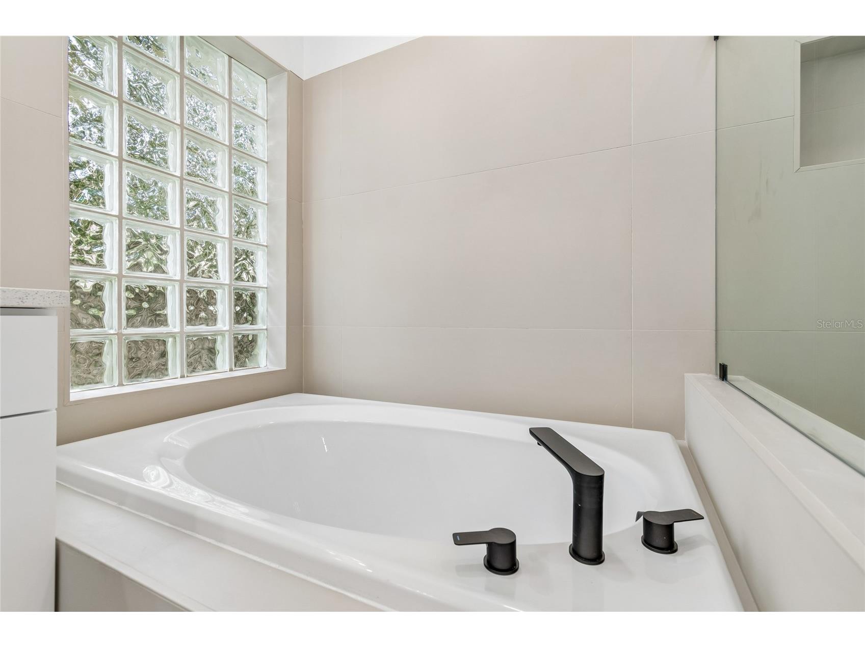 3041 Beaver Pond Trail Valrico FL 33596 TB8515423 image39