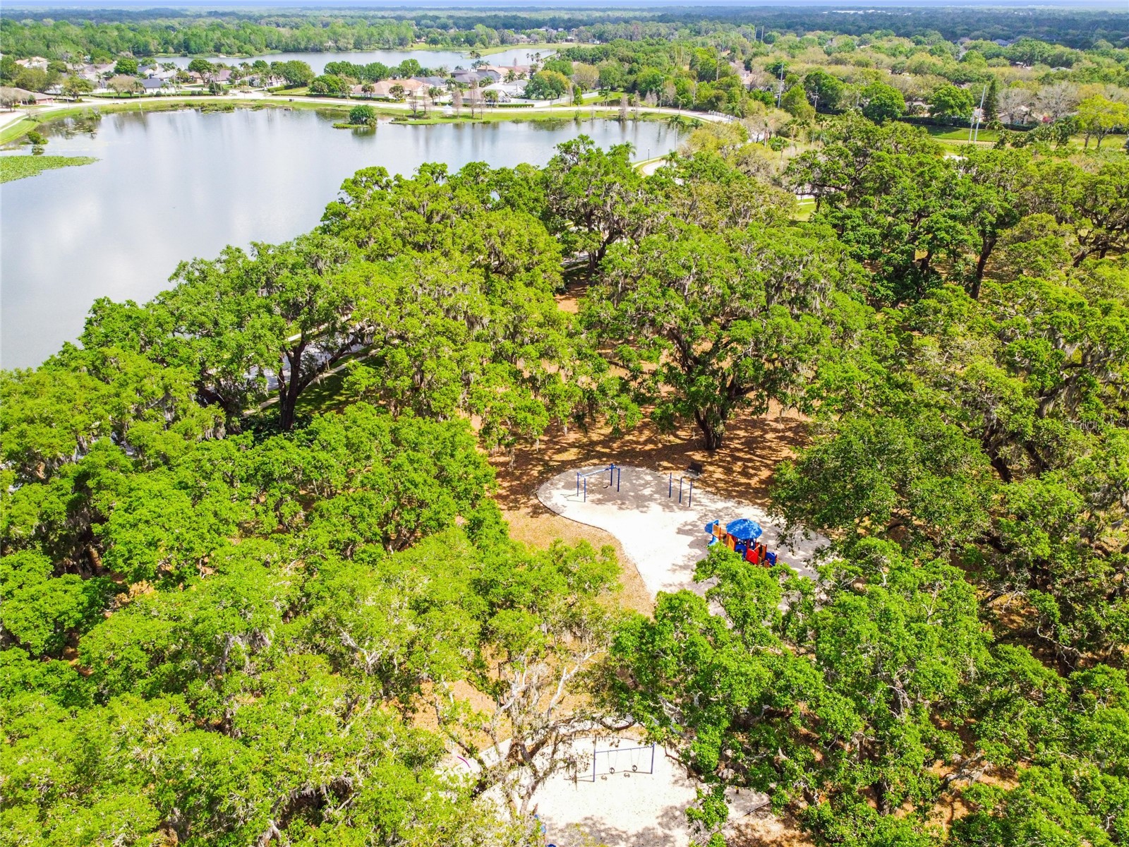 3041 Beaver Pond Trail Valrico FL 33596 TB8515423 image70