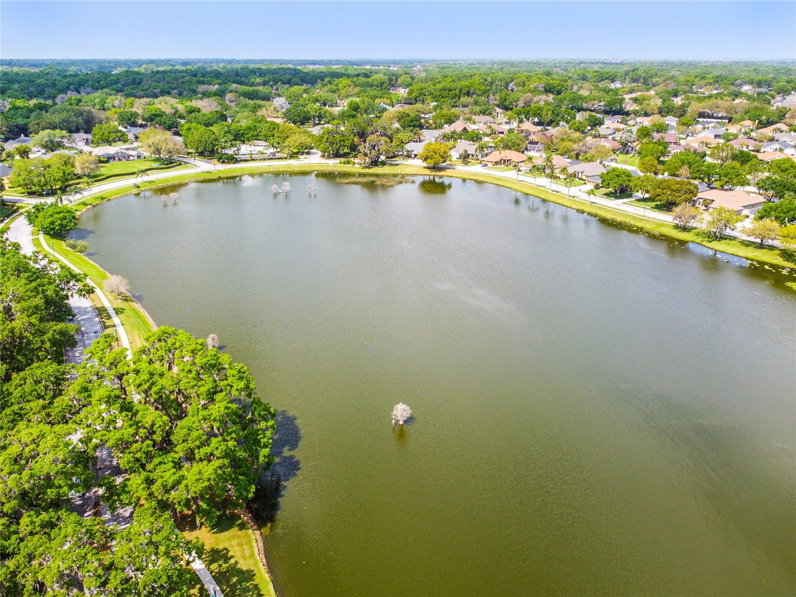 3041 Beaver Pond Trail Valrico FL 33596 TB8515423 image72