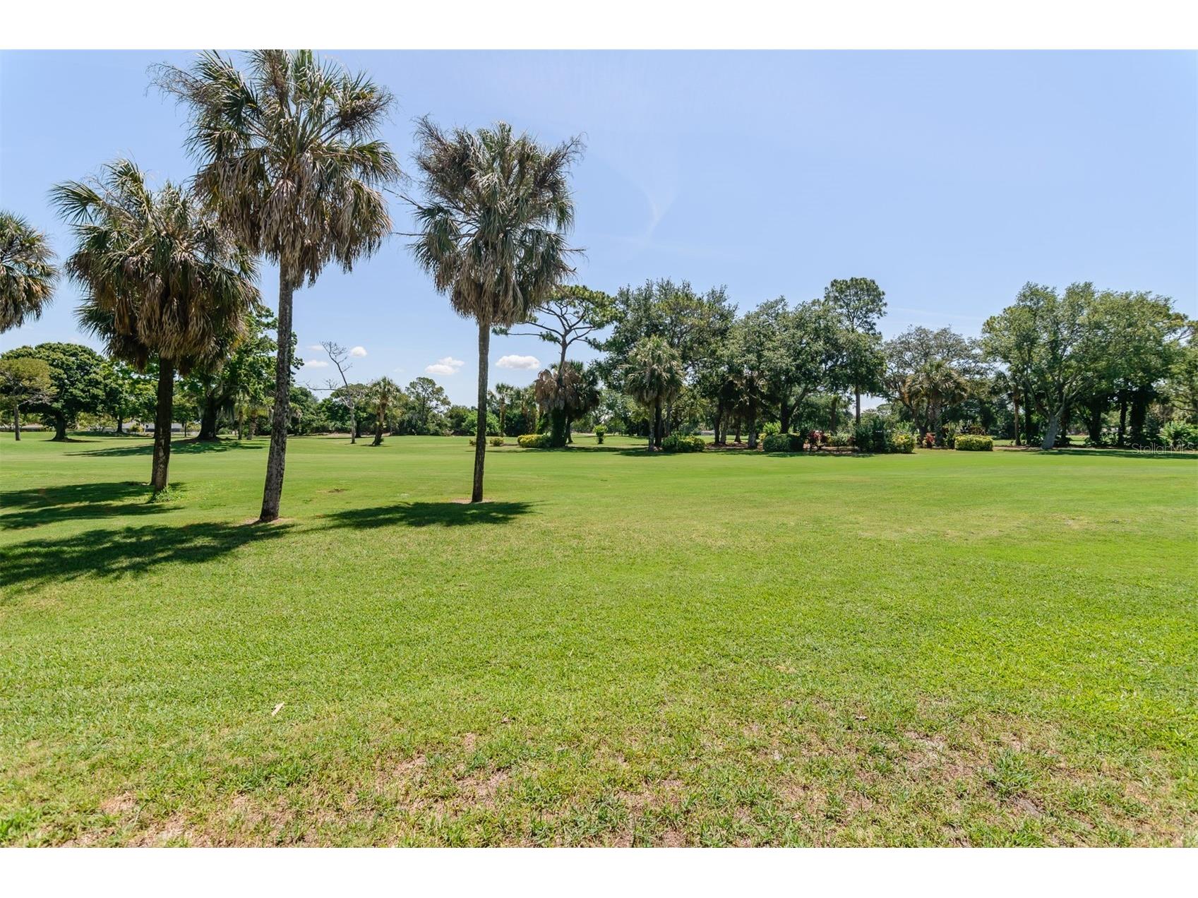 3041 Braeloch Circle E Clearwater FL 33761 TB8511257 image56