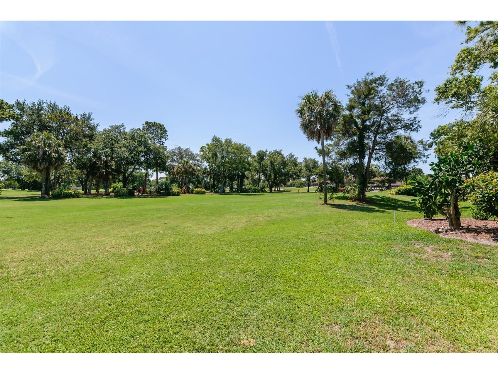 3041 Braeloch Circle E Clearwater FL 33761 TB8511257 image57