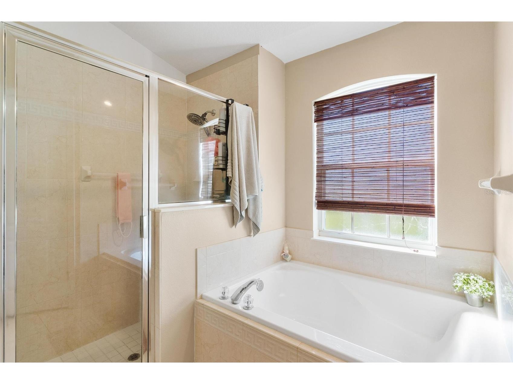 3041 Brighton Road Eustis FL 32726 G5109427 image22