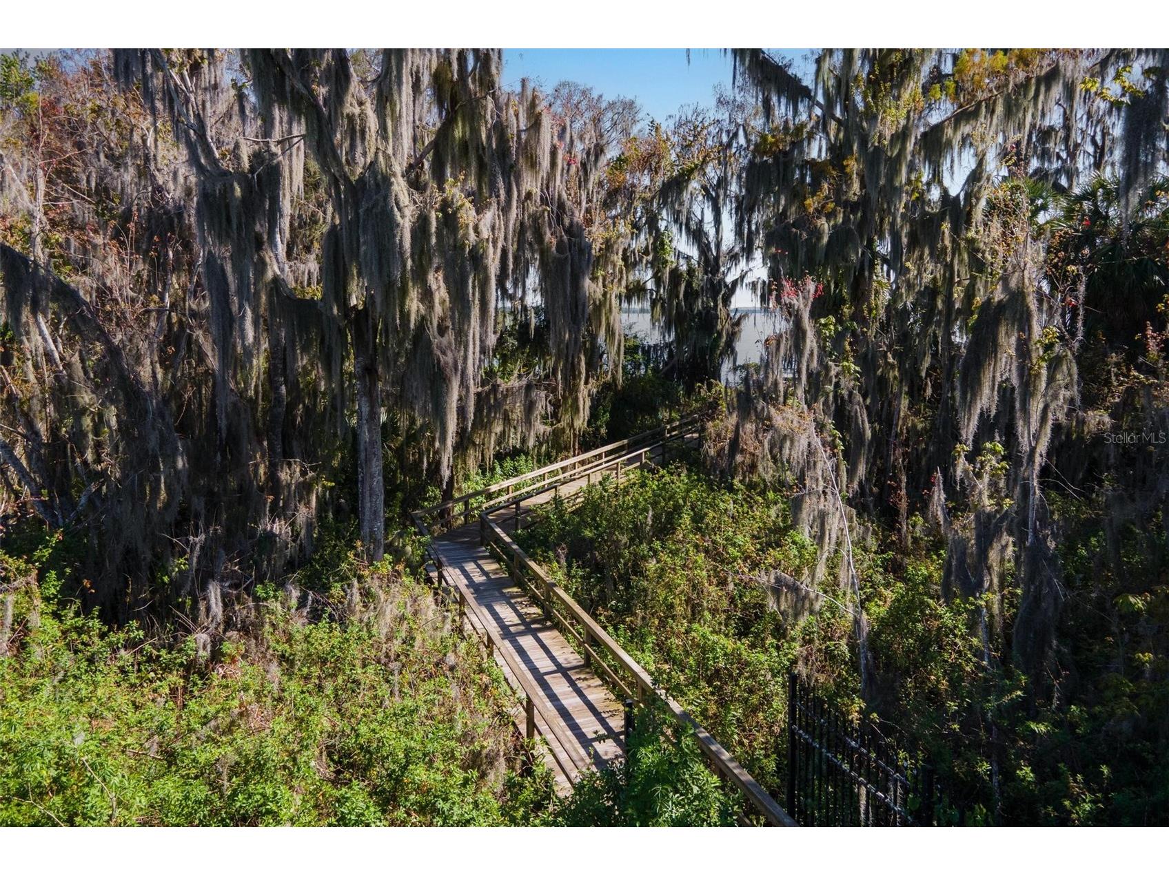 3041 Brighton Road Eustis FL 32726 G5109427 image46