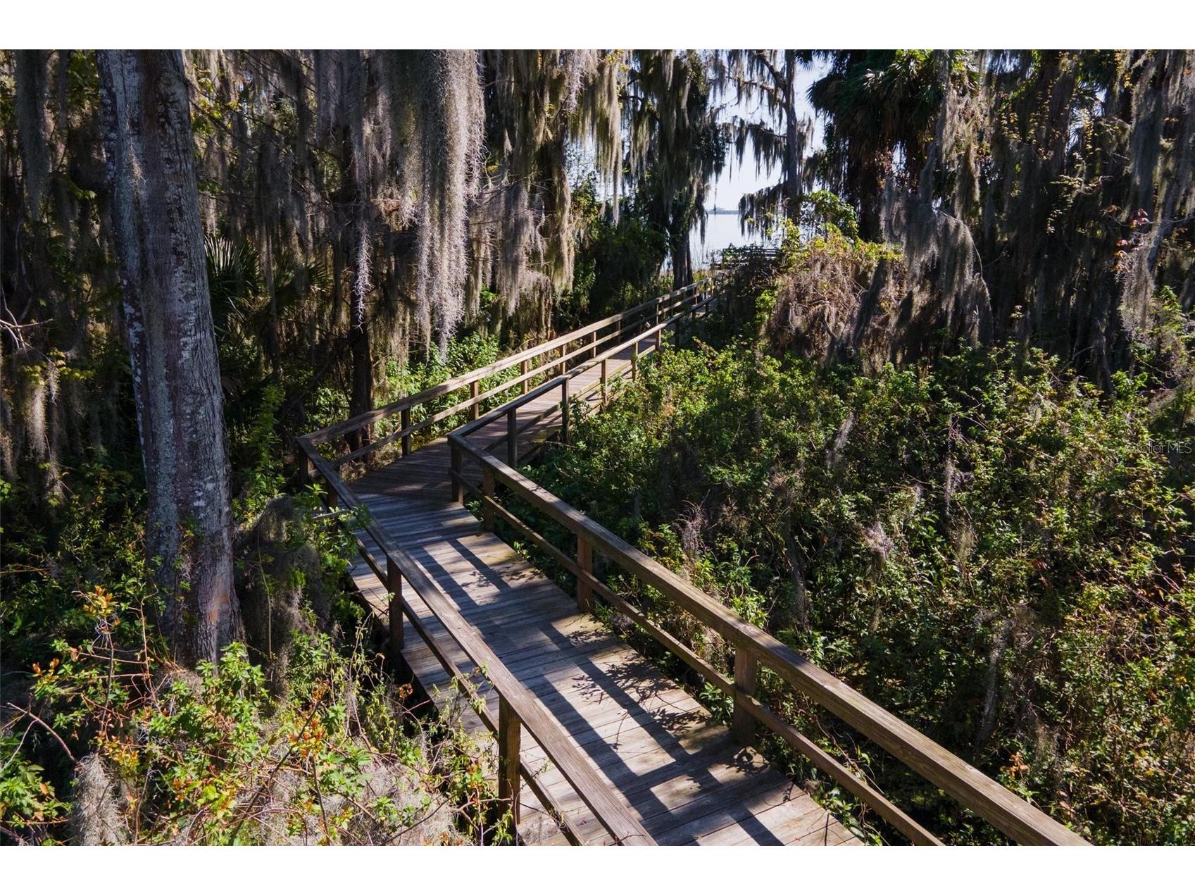 3041 Brighton Road Eustis FL 32726 G5109427 image47