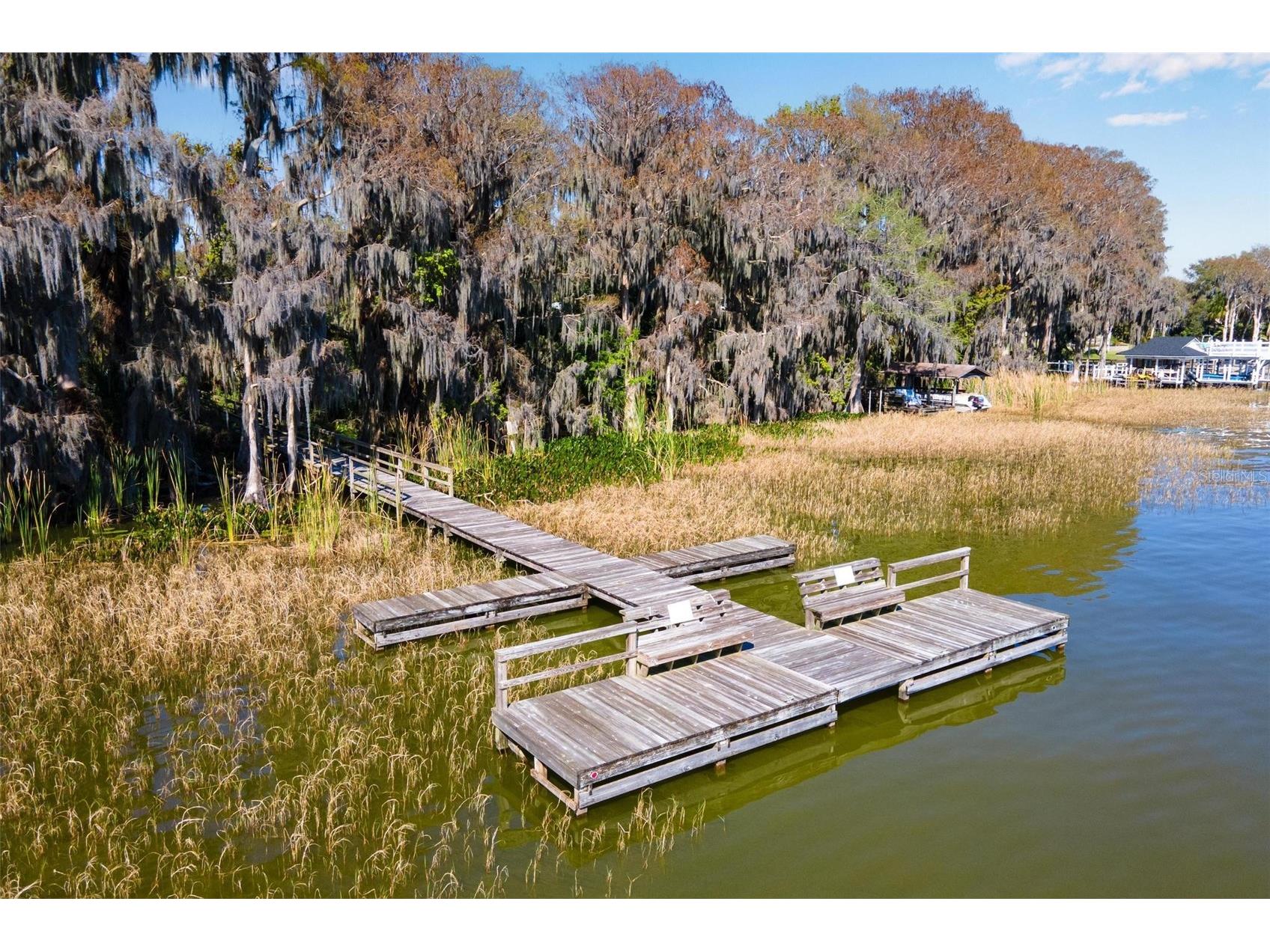 3041 Brighton Road Eustis FL 32726 G5109427 image50