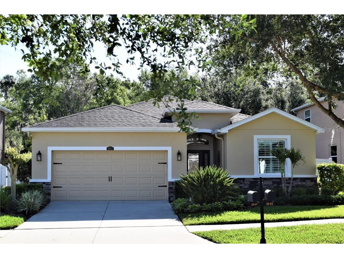 3041 Calvano Drive Land O Lakes FL 34639 U8196142 image1