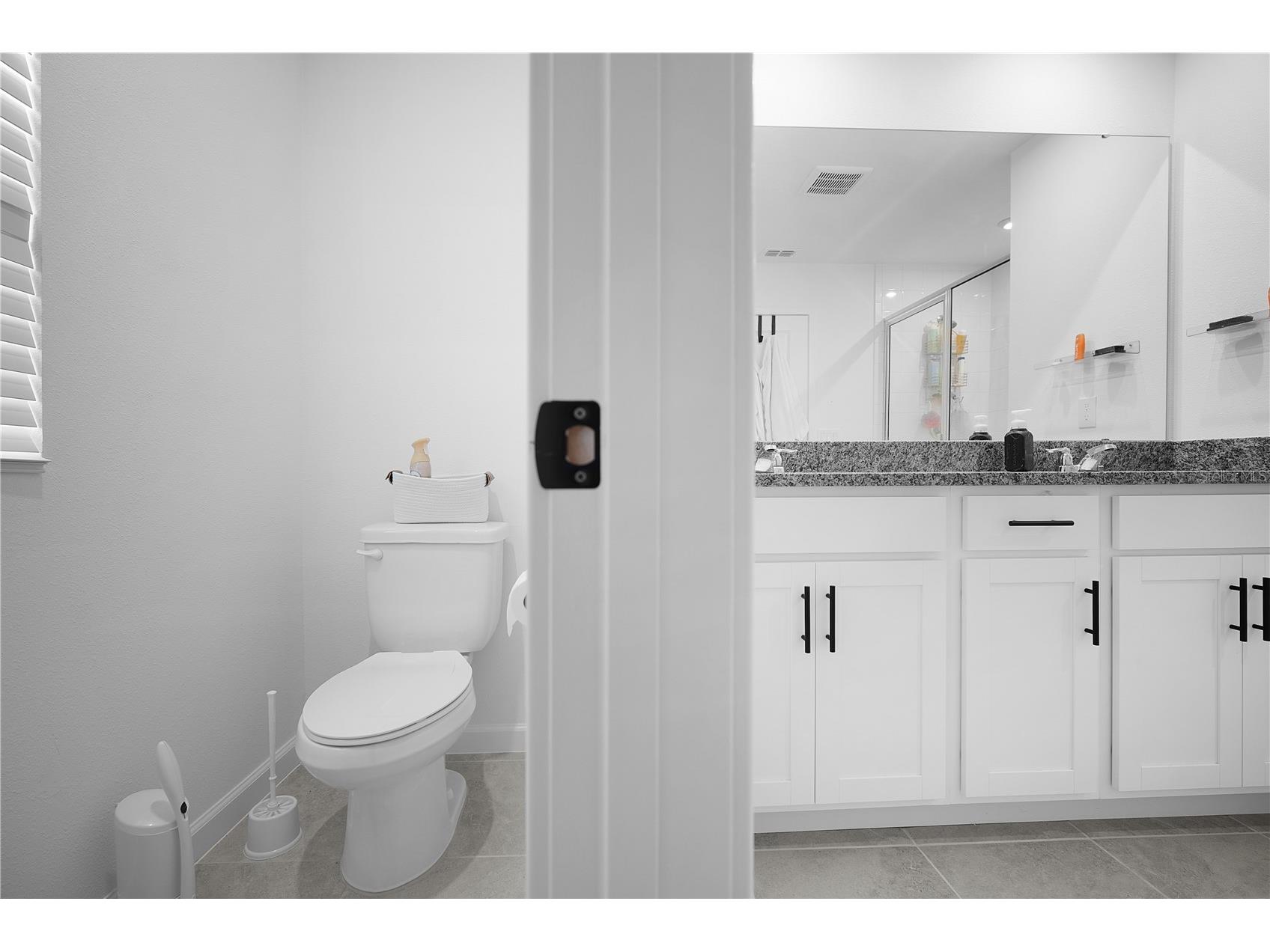 3041 Douglas Fir Drive Apopka FL 32703 O6404443 image23