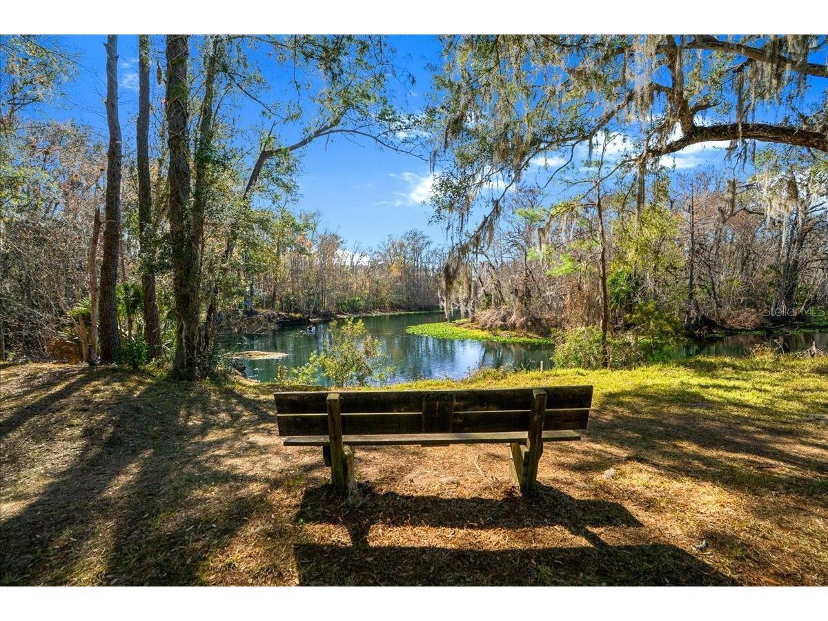 3041 NE 104th Avenue Silver Springs FL 34488 - OCKLAWAHA RIVER OM698422 image55