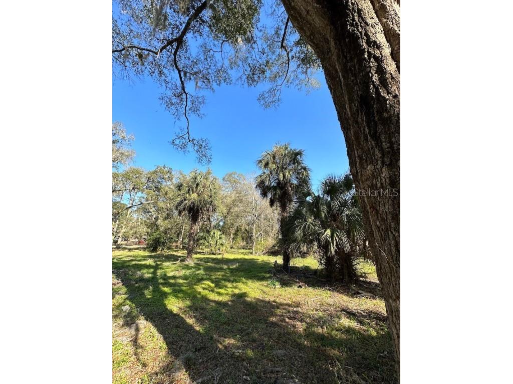 3041 NE 166 Place Citra FL 32113 OM652925 image1