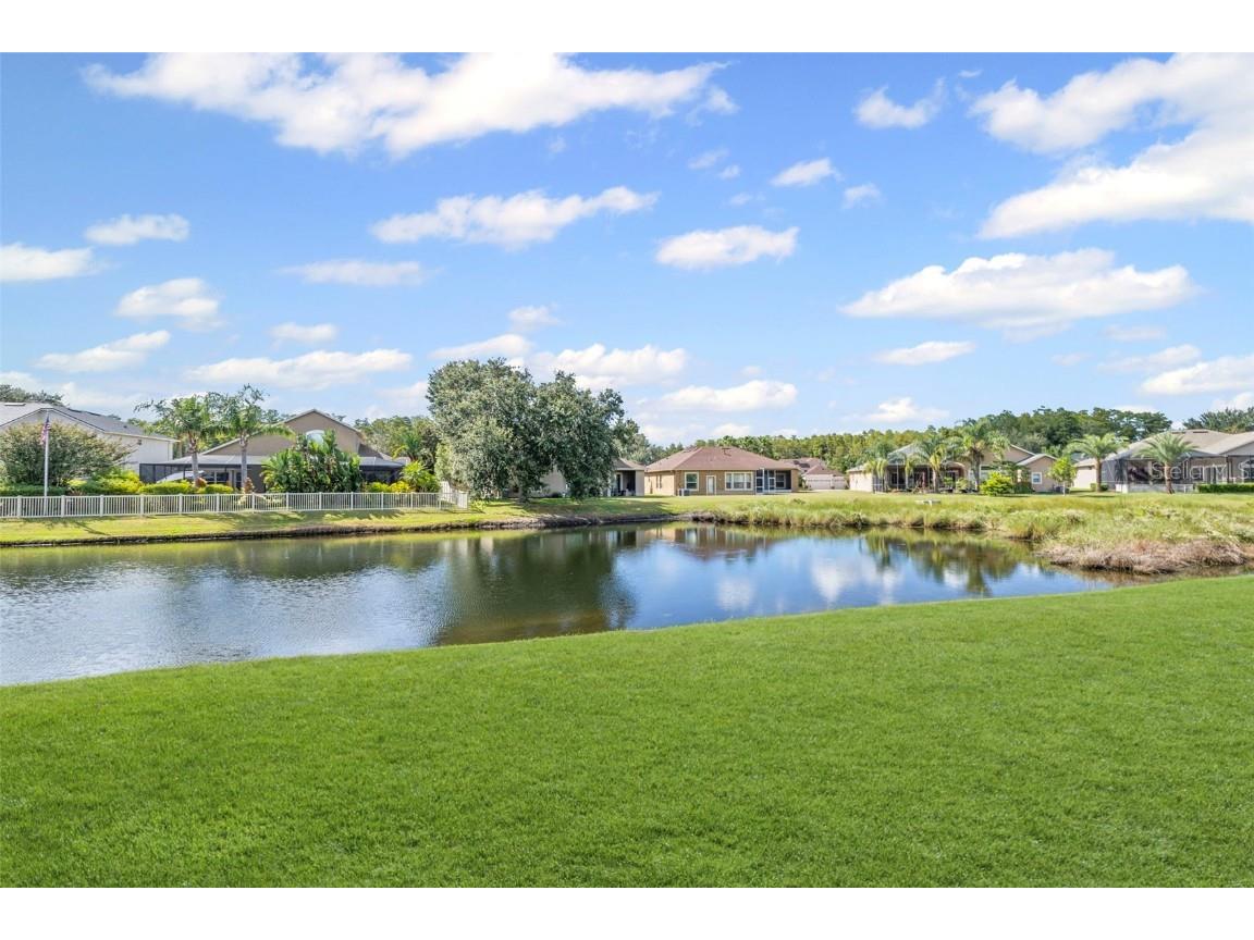 3041 Stonegate Falls Drive Land O Lakes FL 34638 W7879294 image12