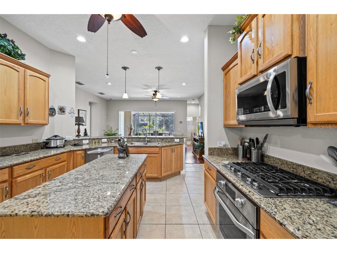 3041 Stonegate Falls Drive Land O Lakes FL 34638 W7879294 image23